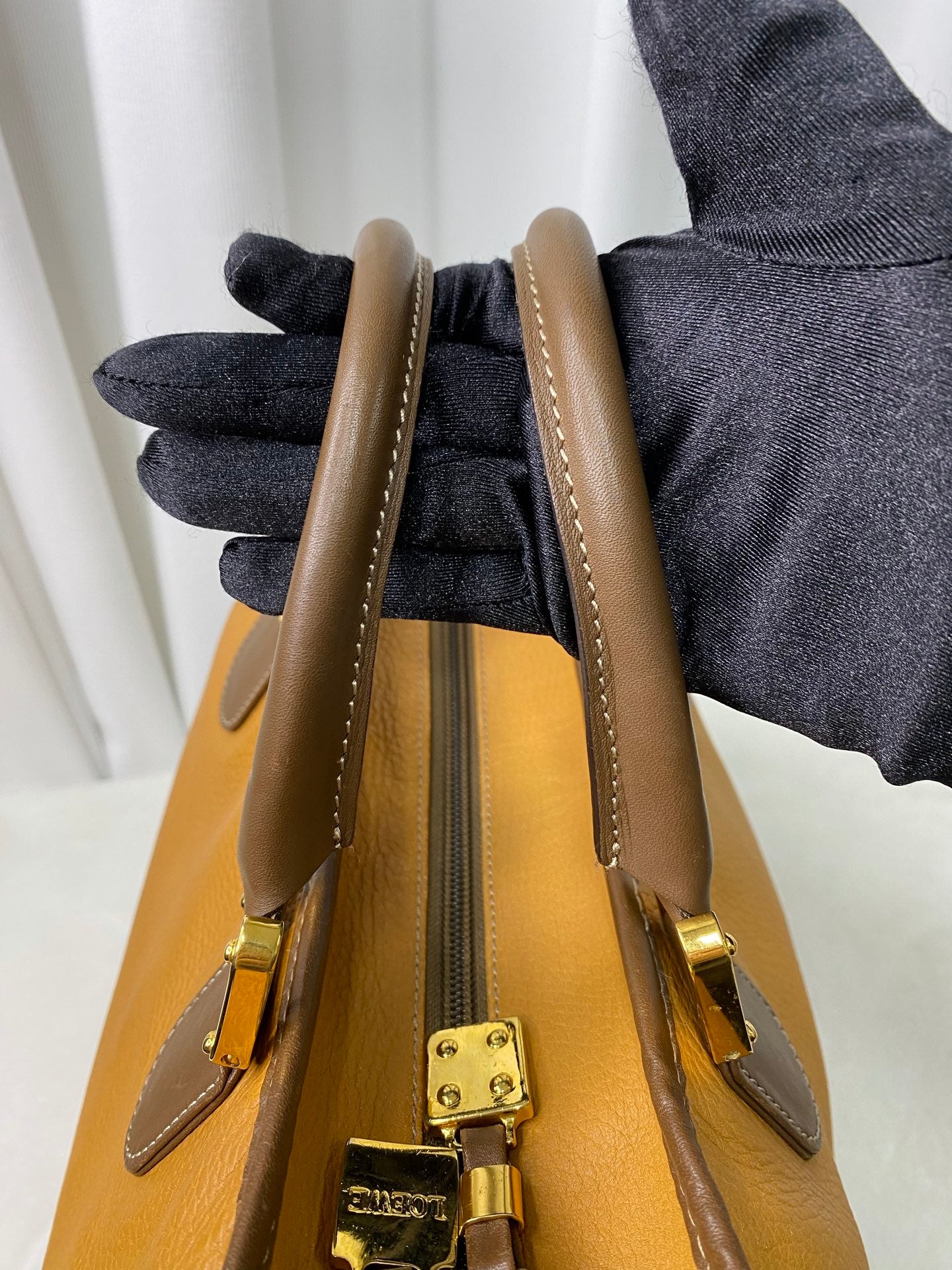 LOEWE Amazona Geniune Handbag