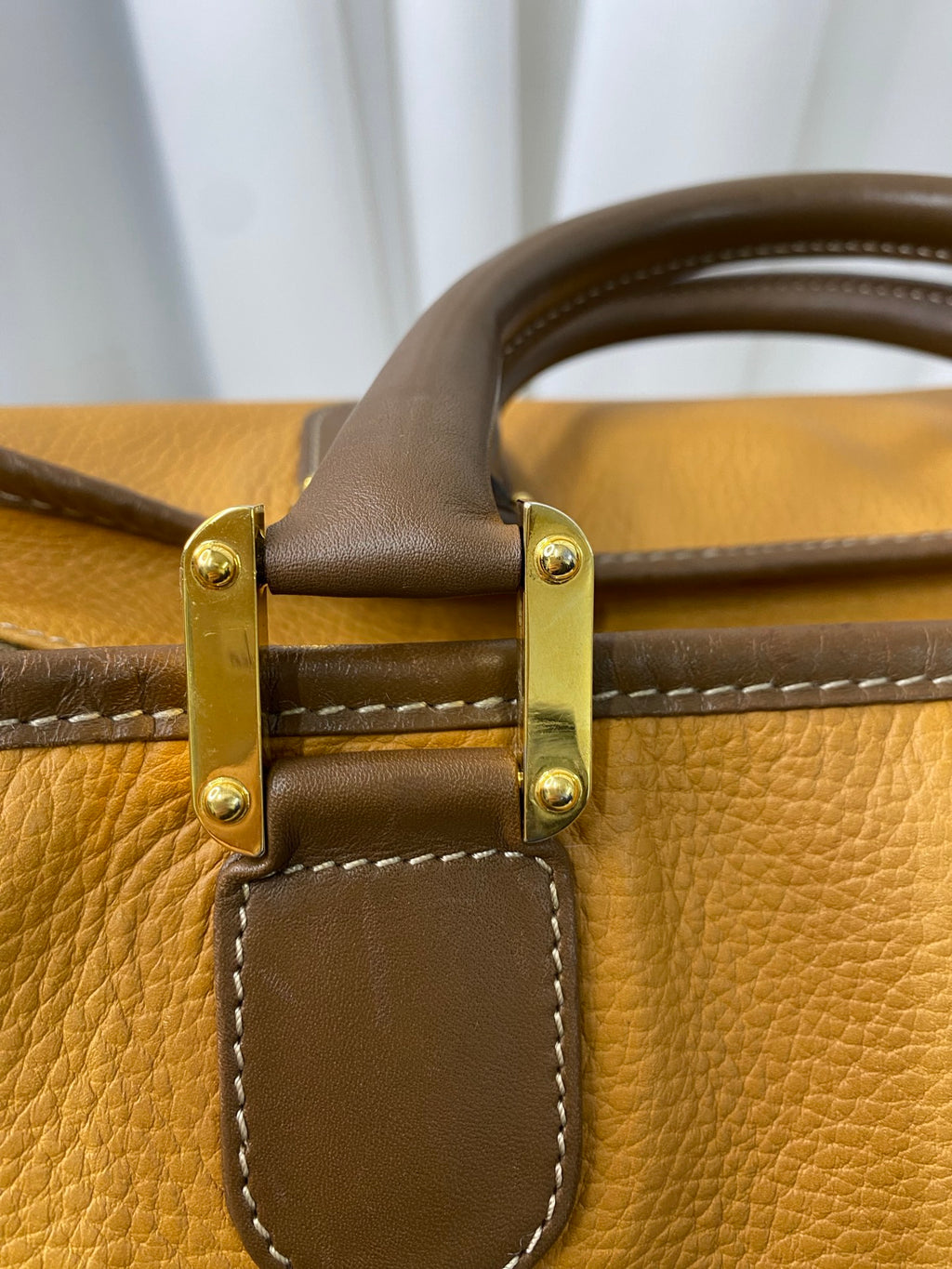 LOEWE Amazona Geniune Handbag