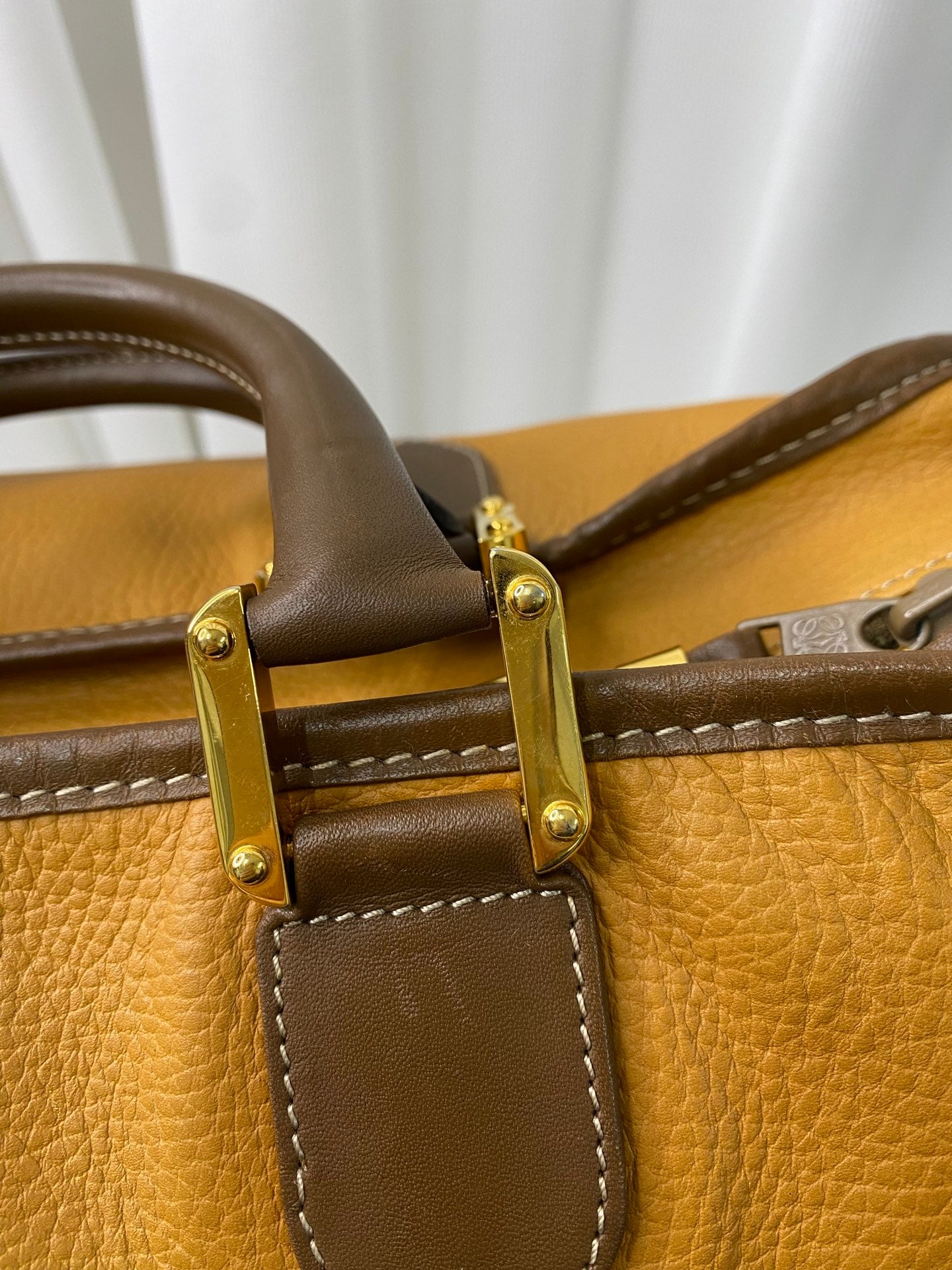 LOEWE Amazona Geniune Handbag
