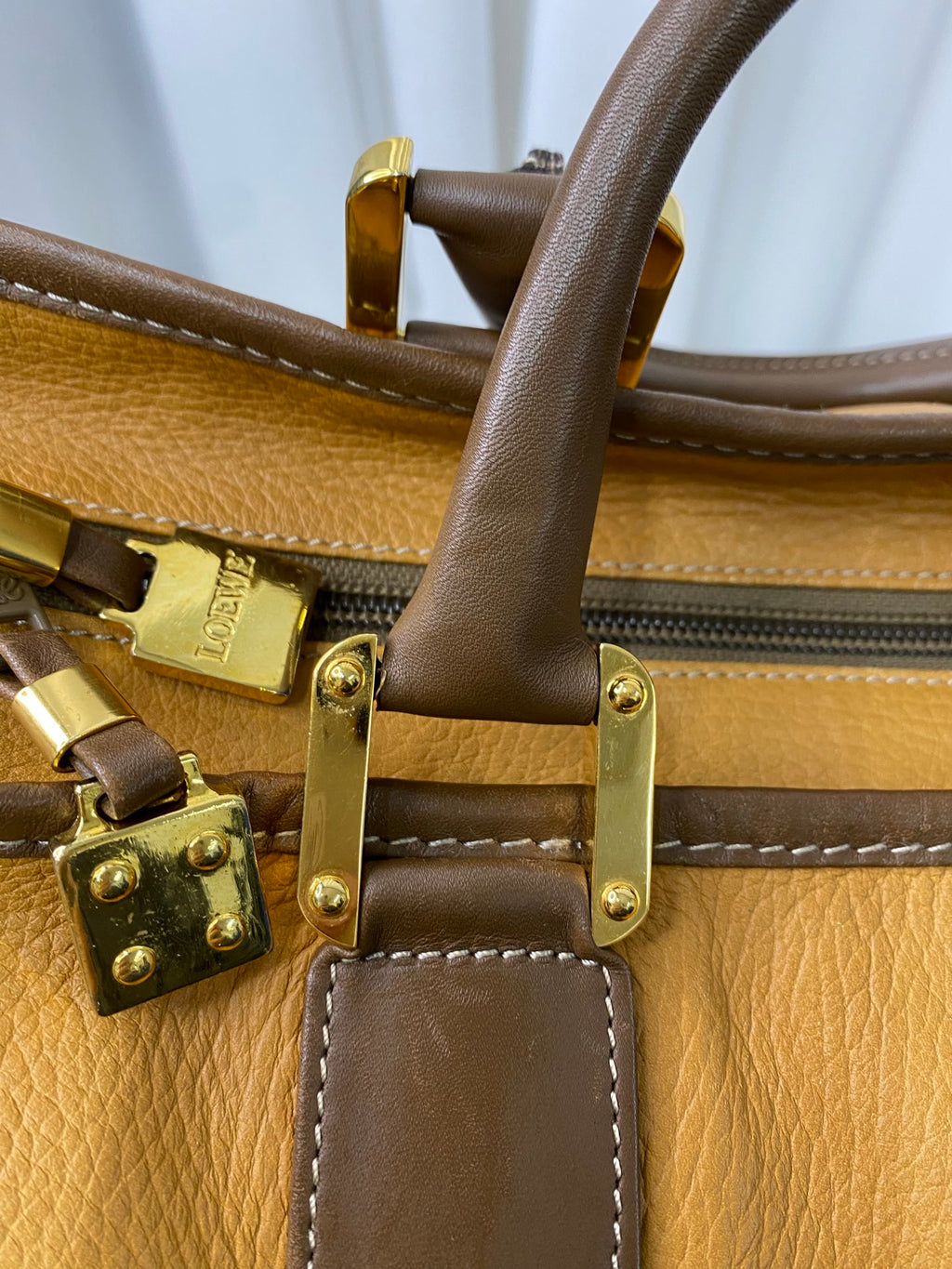 LOEWE Amazona Geniune Handbag