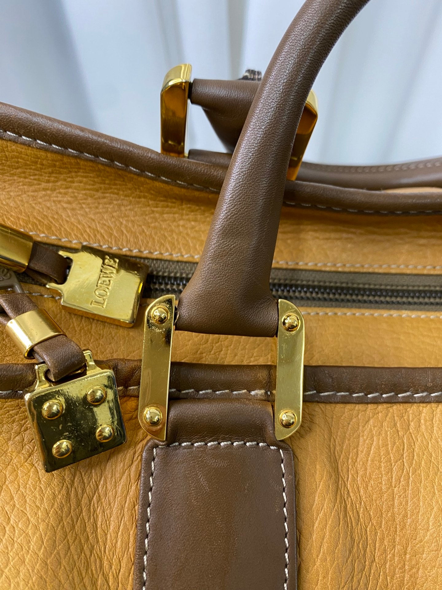 LOEWE Amazona Geniune Handbag