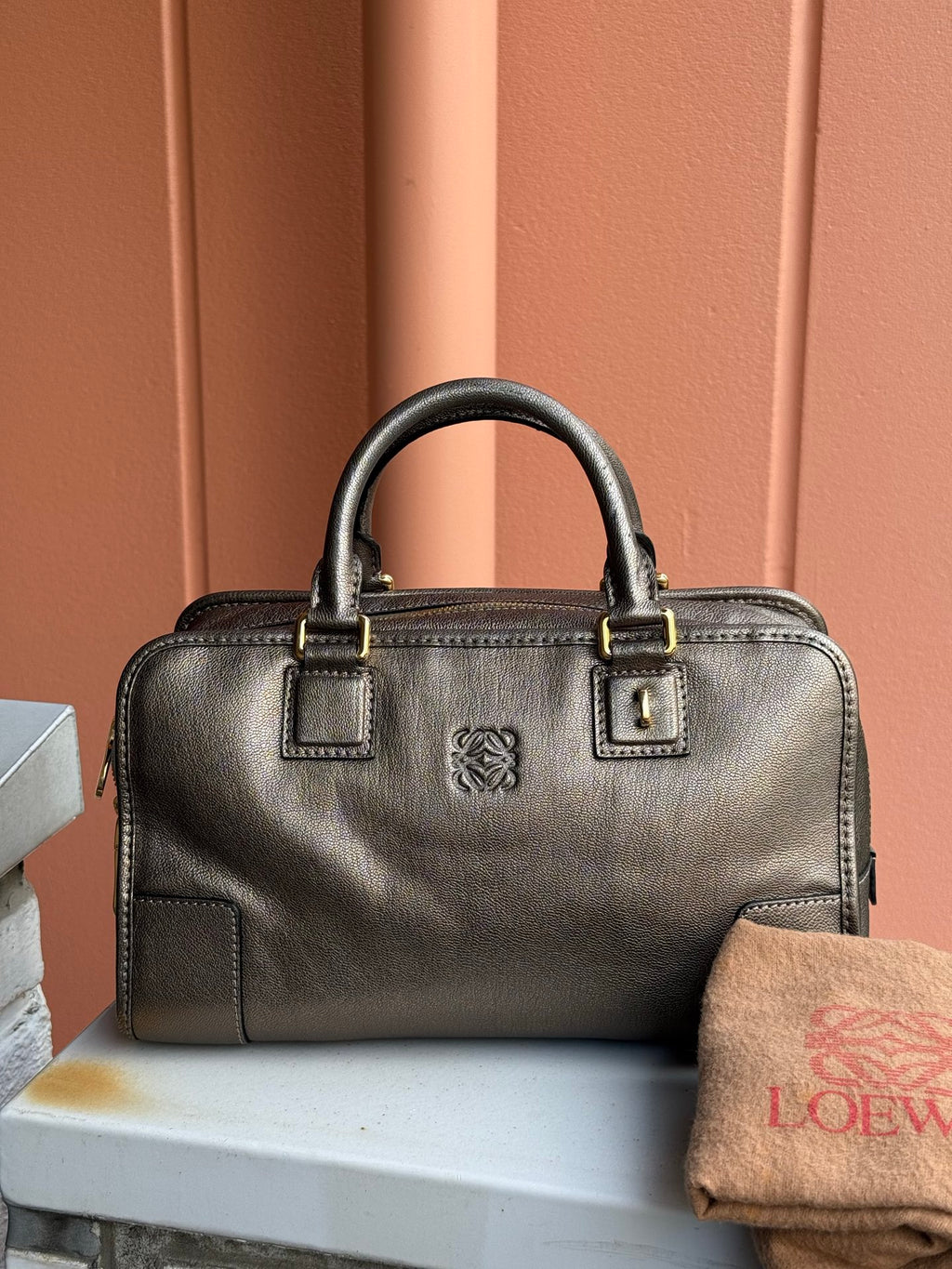 LOEWE Amazona Medium Size Handbag