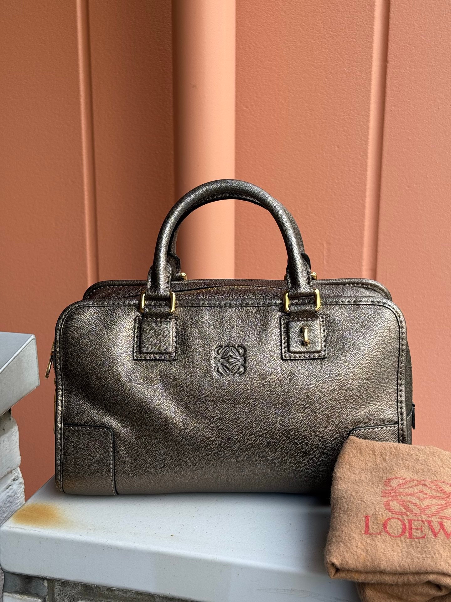 LOEWE Amazona Medium Size Handbag