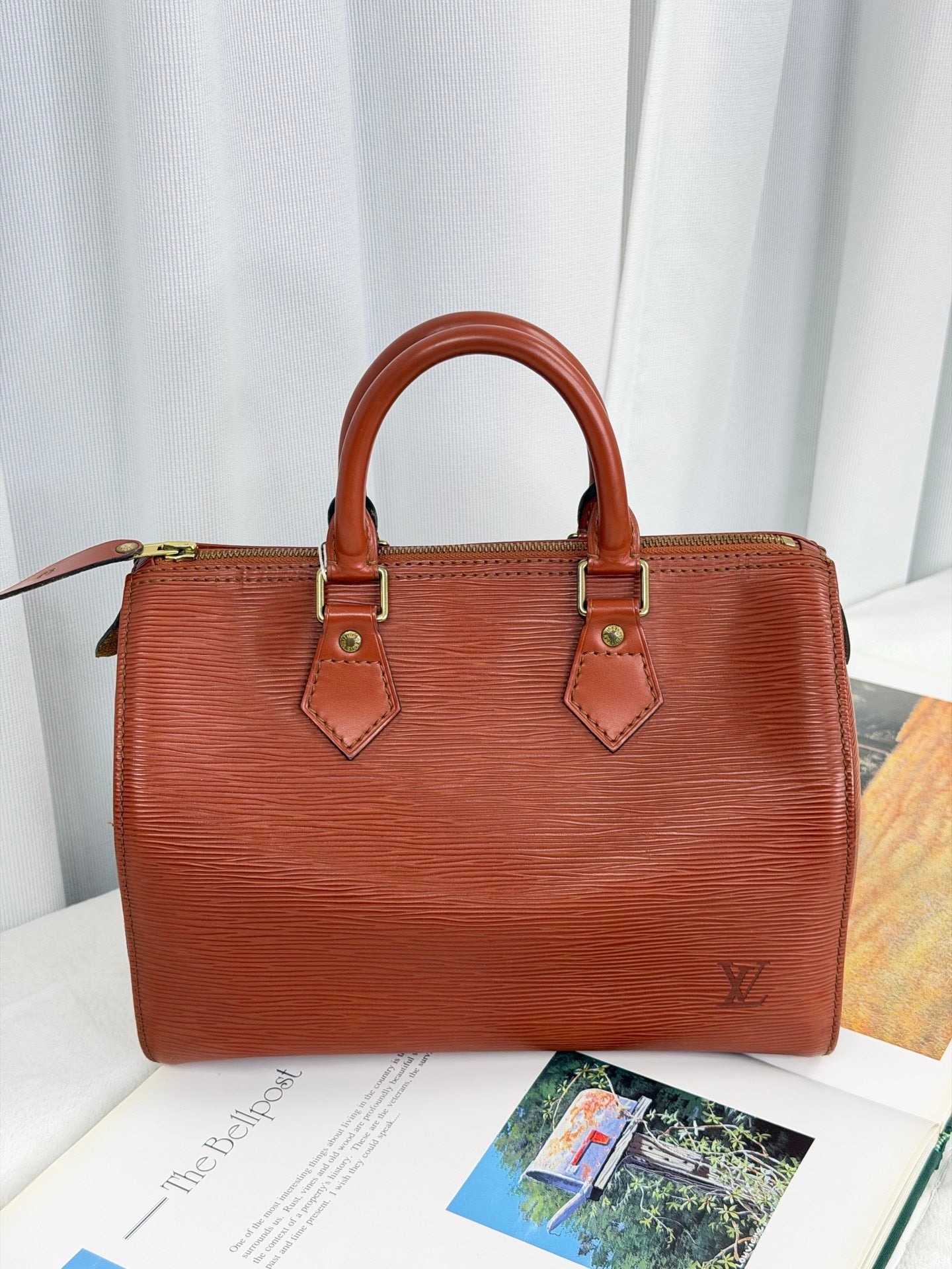 LOUIS VUITTON Epi Speedy25'