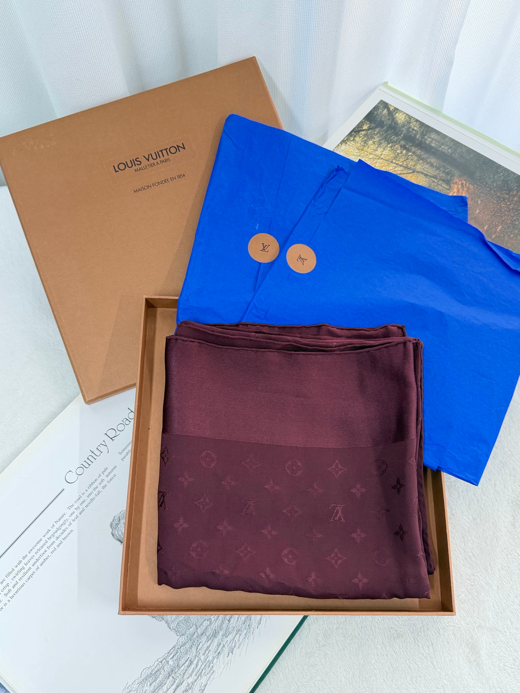 LOUIS VUITTON Monogram Silk Scarf