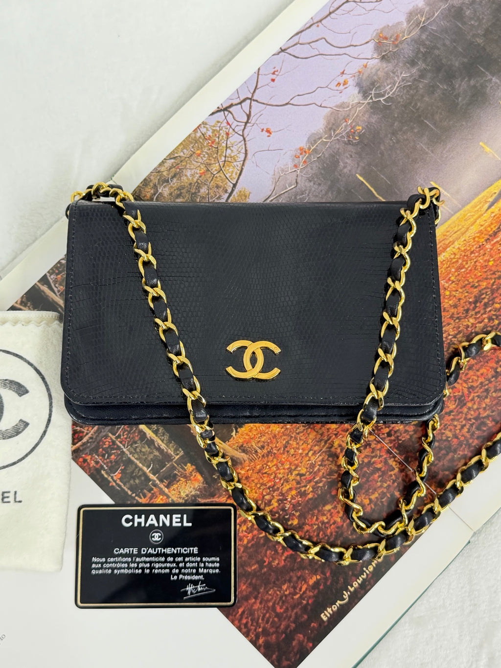 CHANEL Coco-Mark Lizzard Leather Shoulderbag