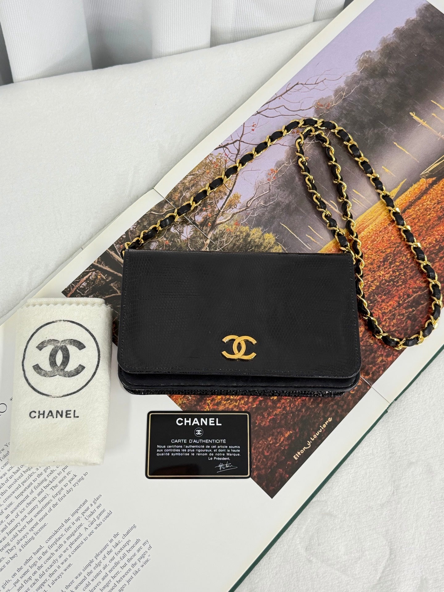 CHANEL Coco-Mark Lizzard Leather Shoulderbag