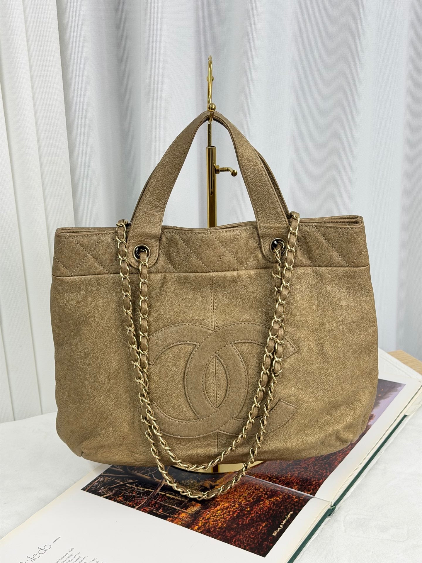 CHANEL Genuine 2WAY Shoulderbag