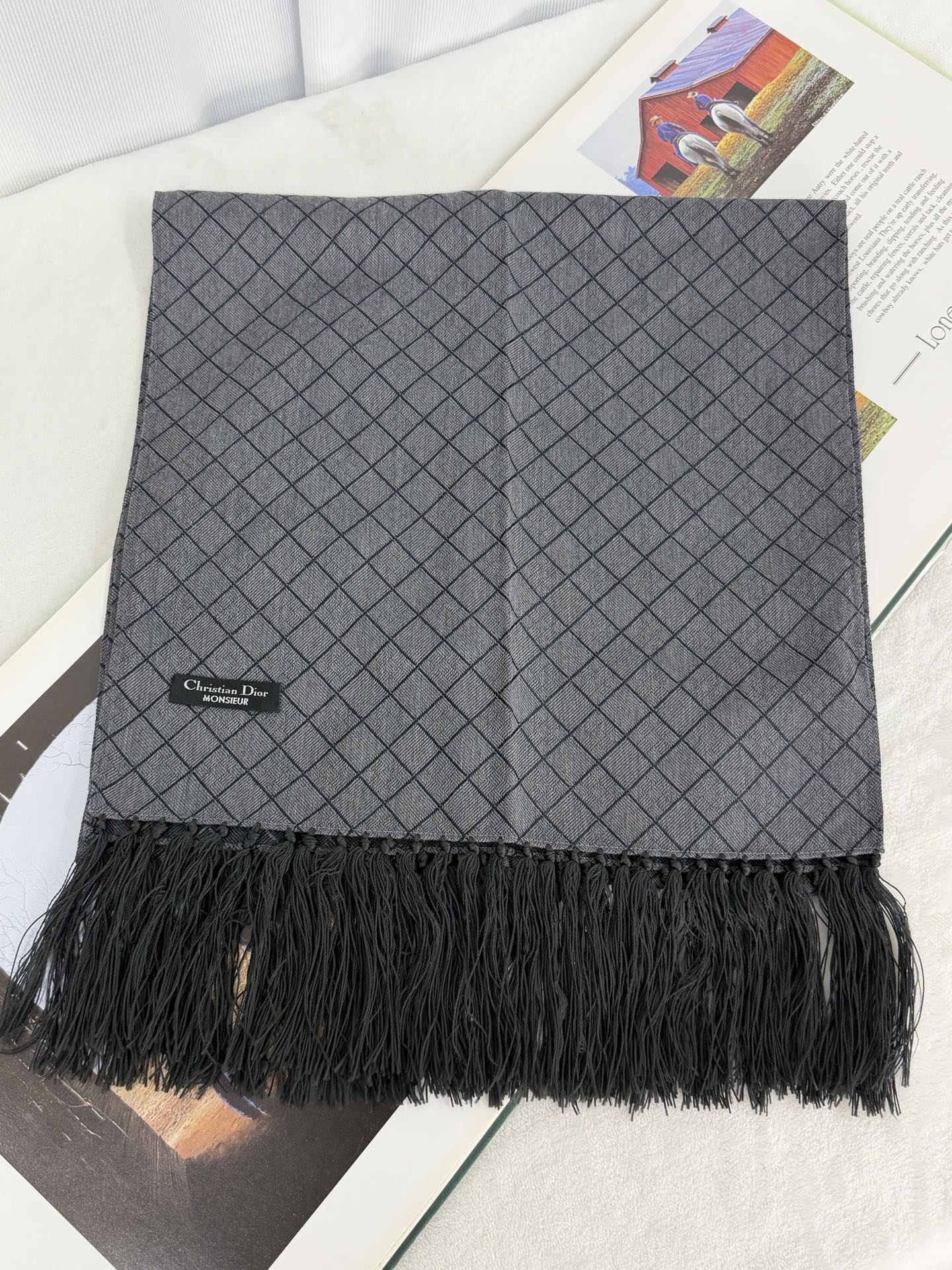 CHRISTIAN DIOR Monsieur  Wool Scarf