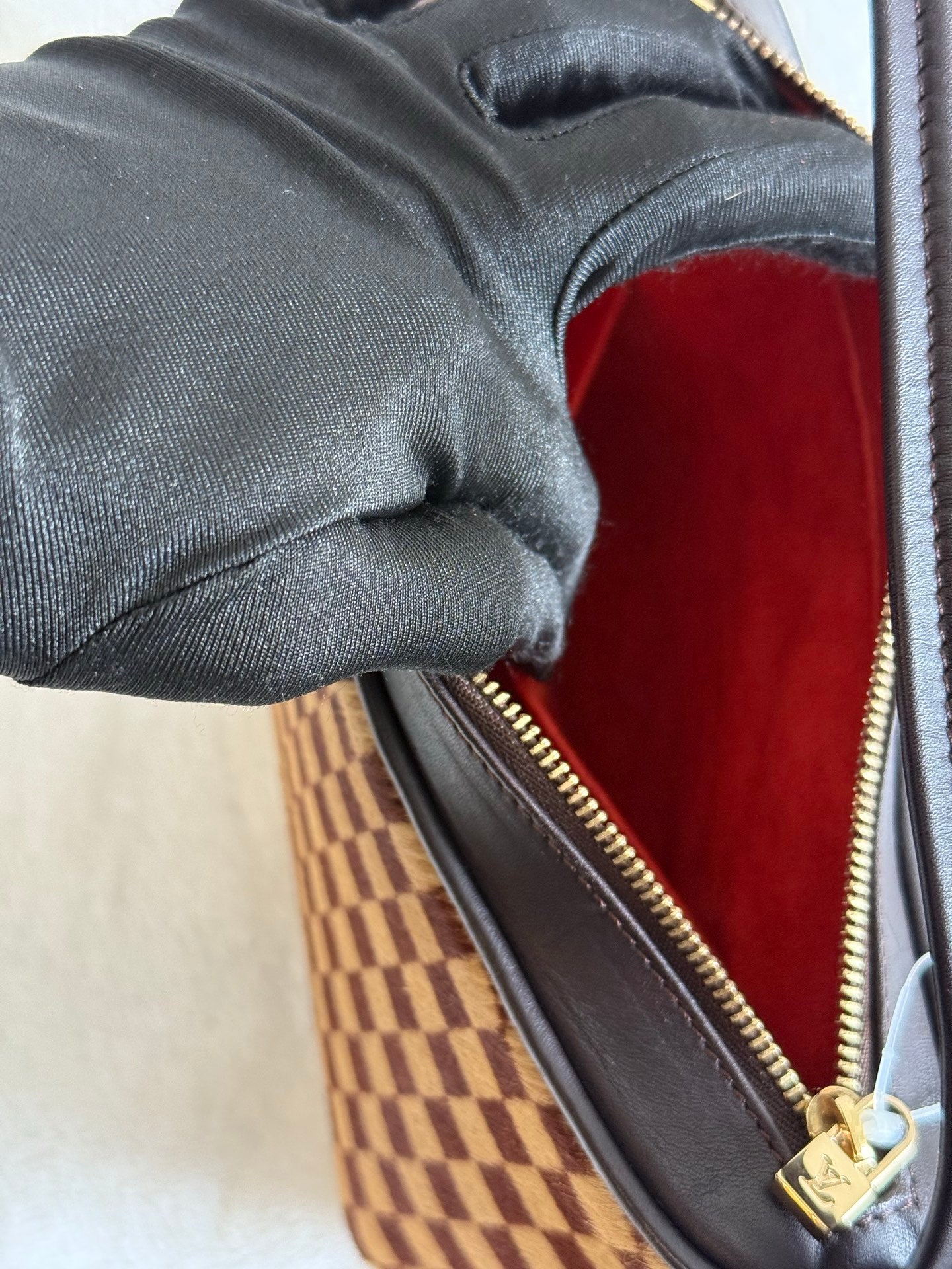 LOUIS VUITTON Damier Horse Fur Handbag