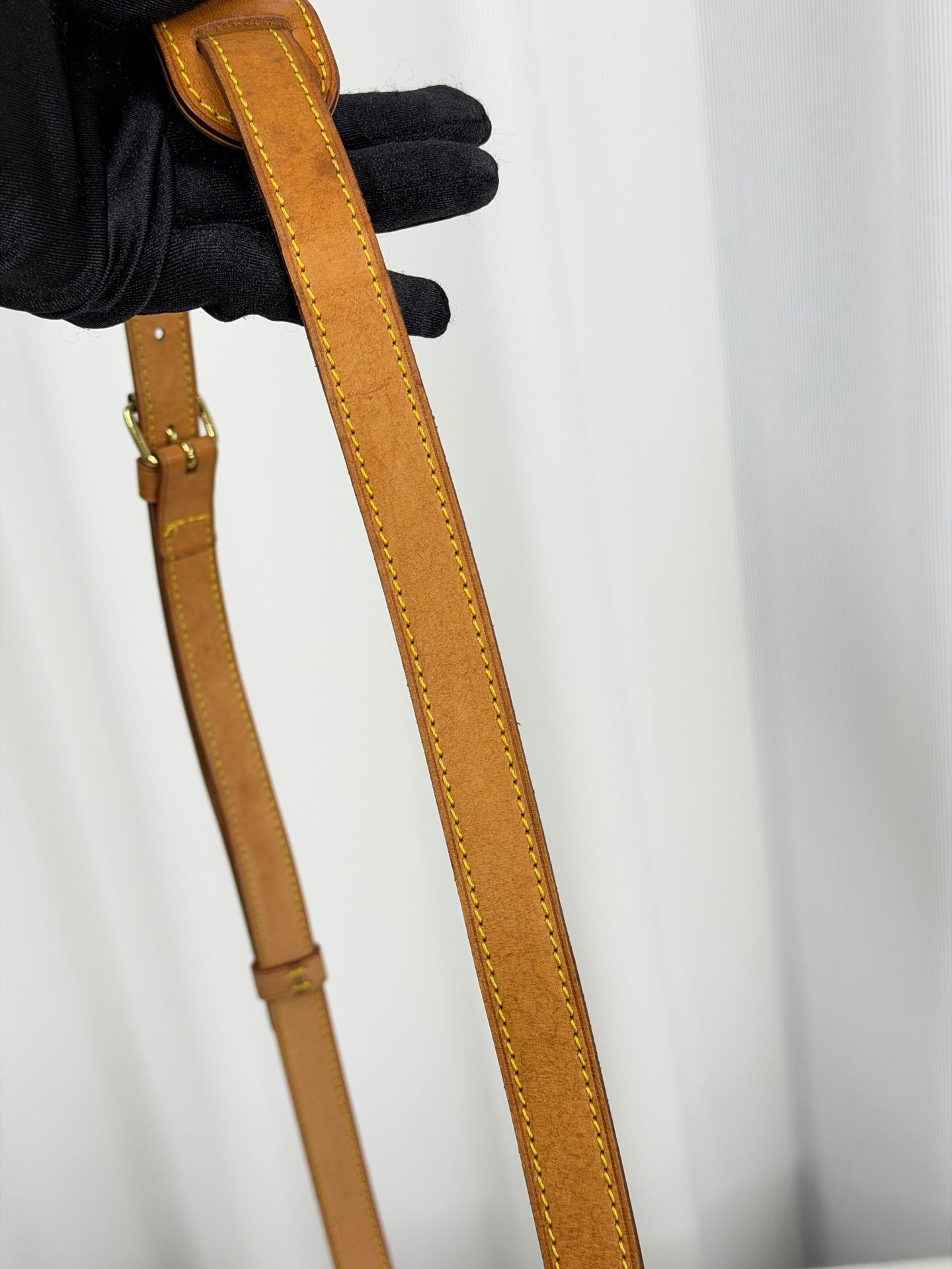 LOUIS VUITTON Gemini Collection  Monogram Shoulderbag