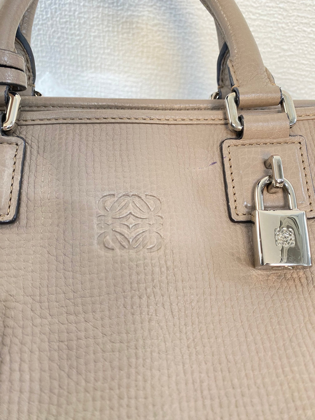 LOEWE Amazona Genuine Handbag