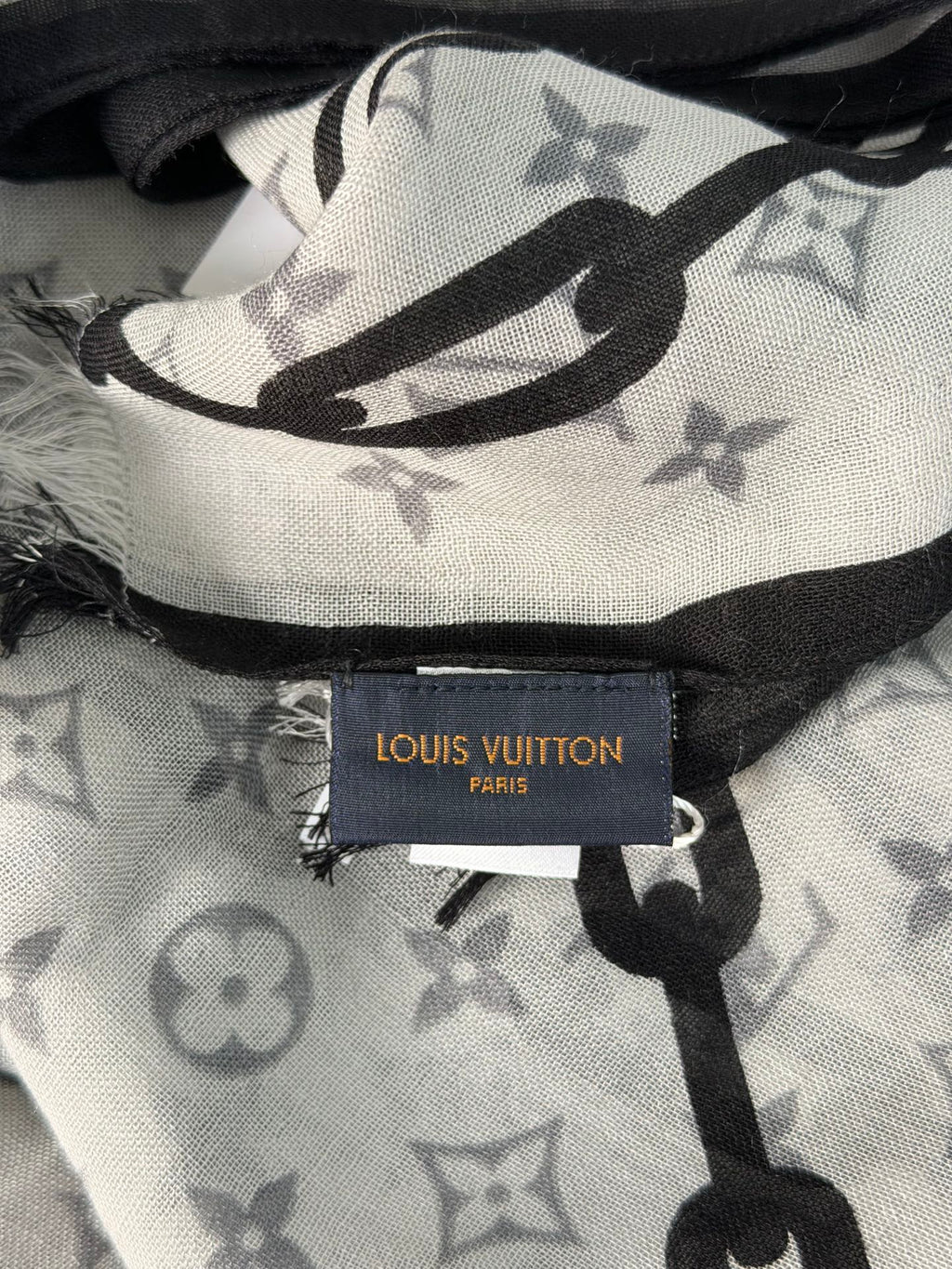 LOUIS VUITTON Cashmere Scarf