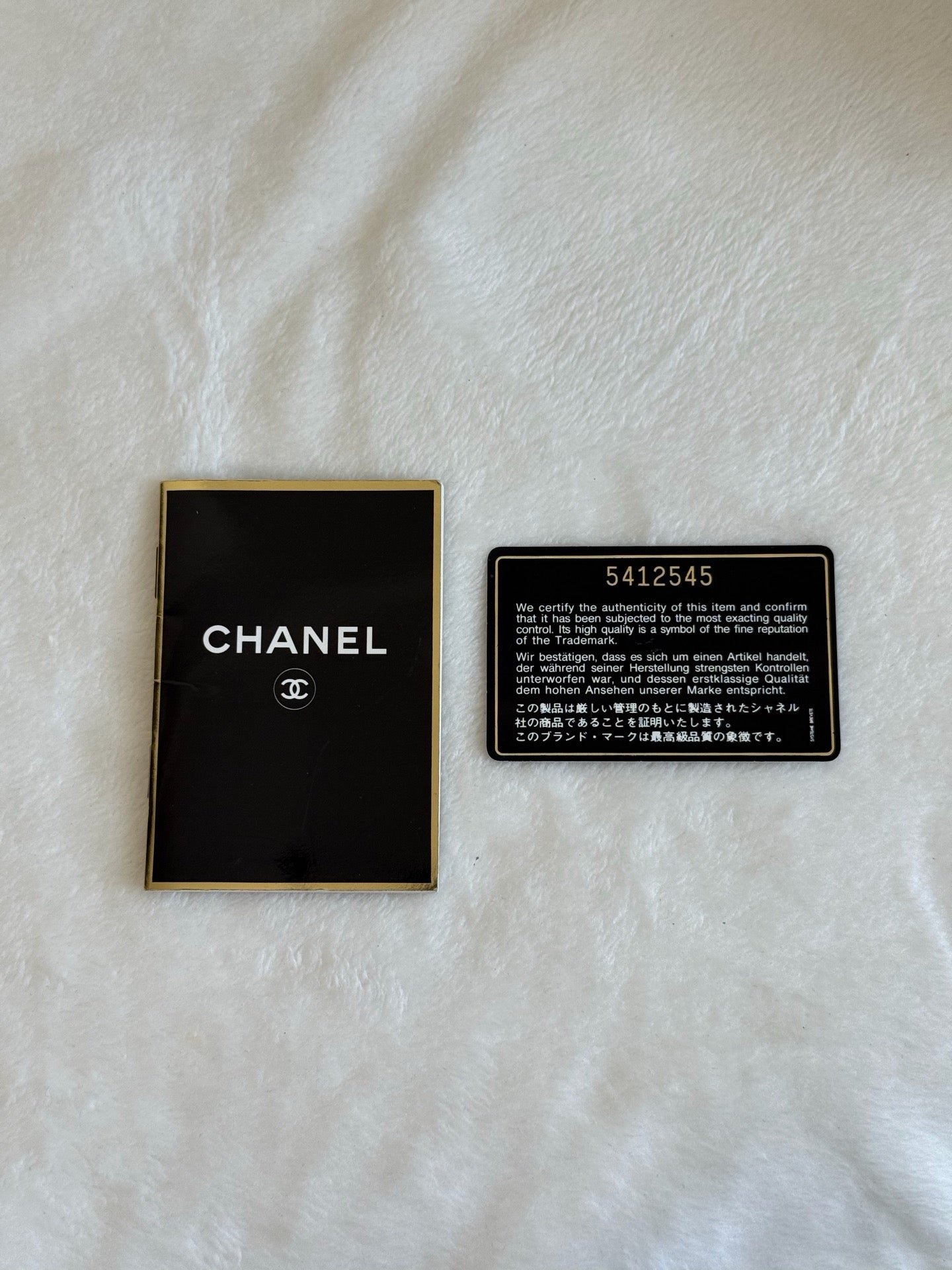 CHANEL Hilton Caiver Handbag