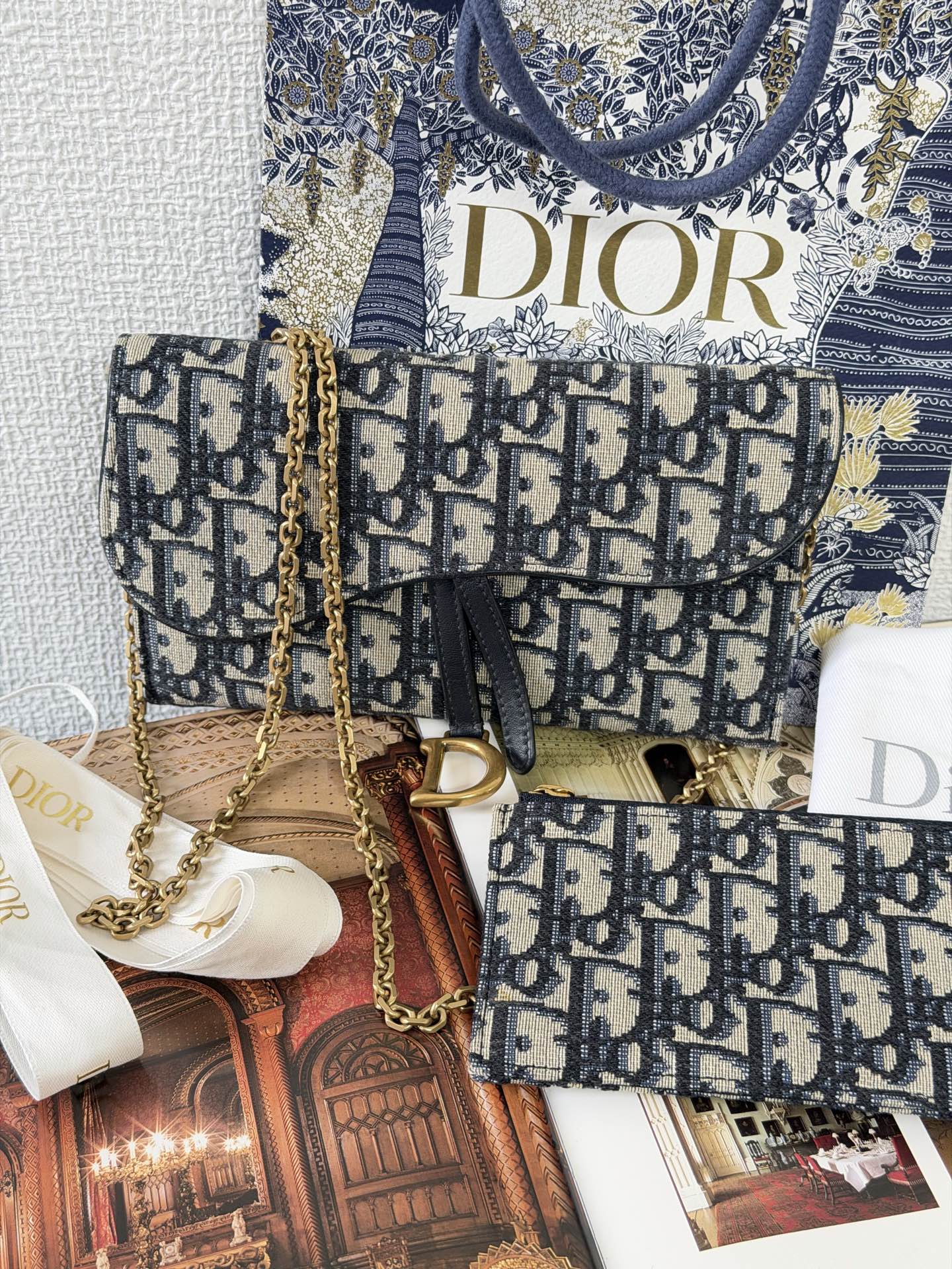 CHRISTIAN DIOR Saddle Oblique WOC Chainbag Set