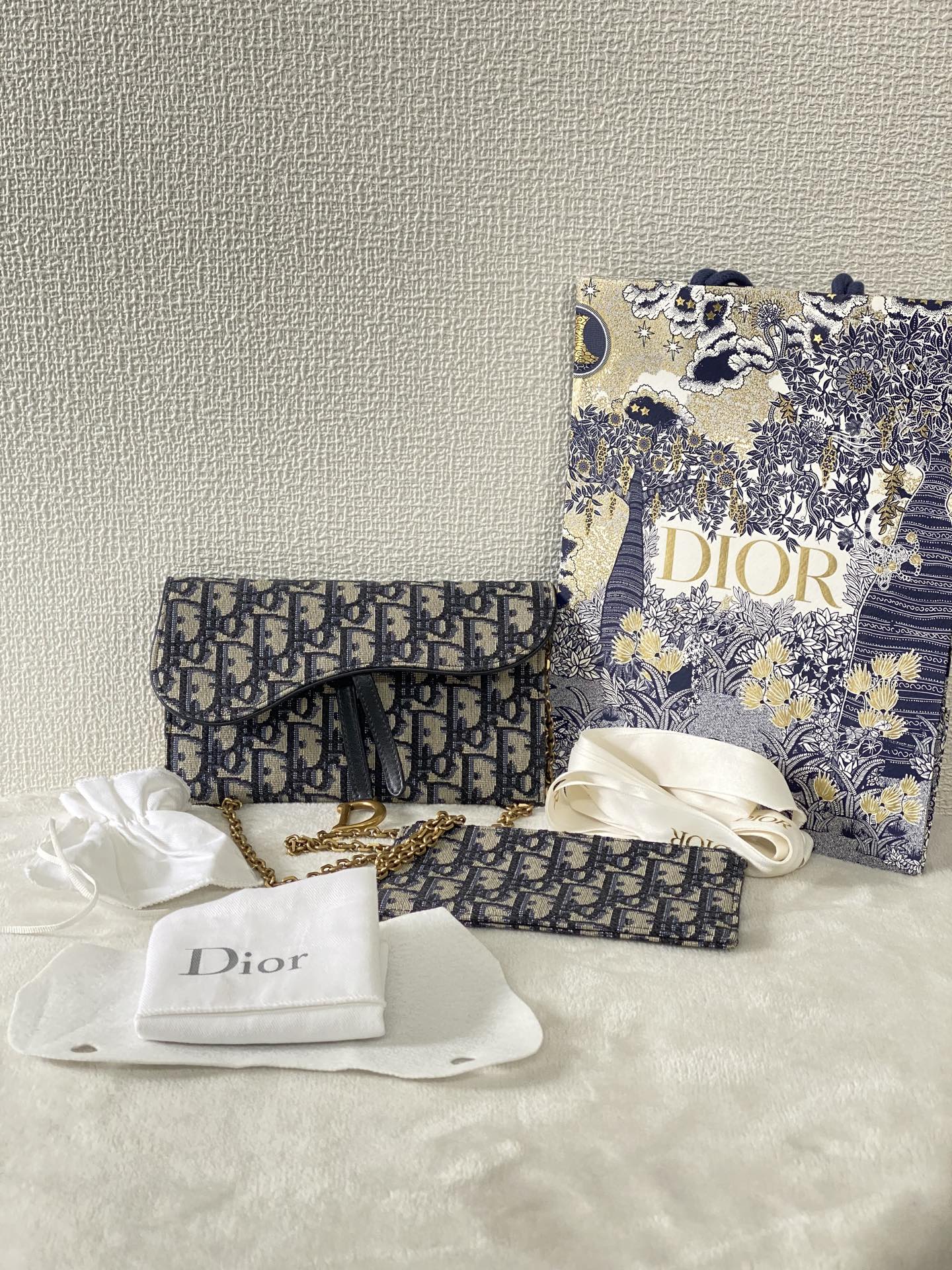 CHRISTIAN DIOR Saddle Oblique WOC Chainbag Set