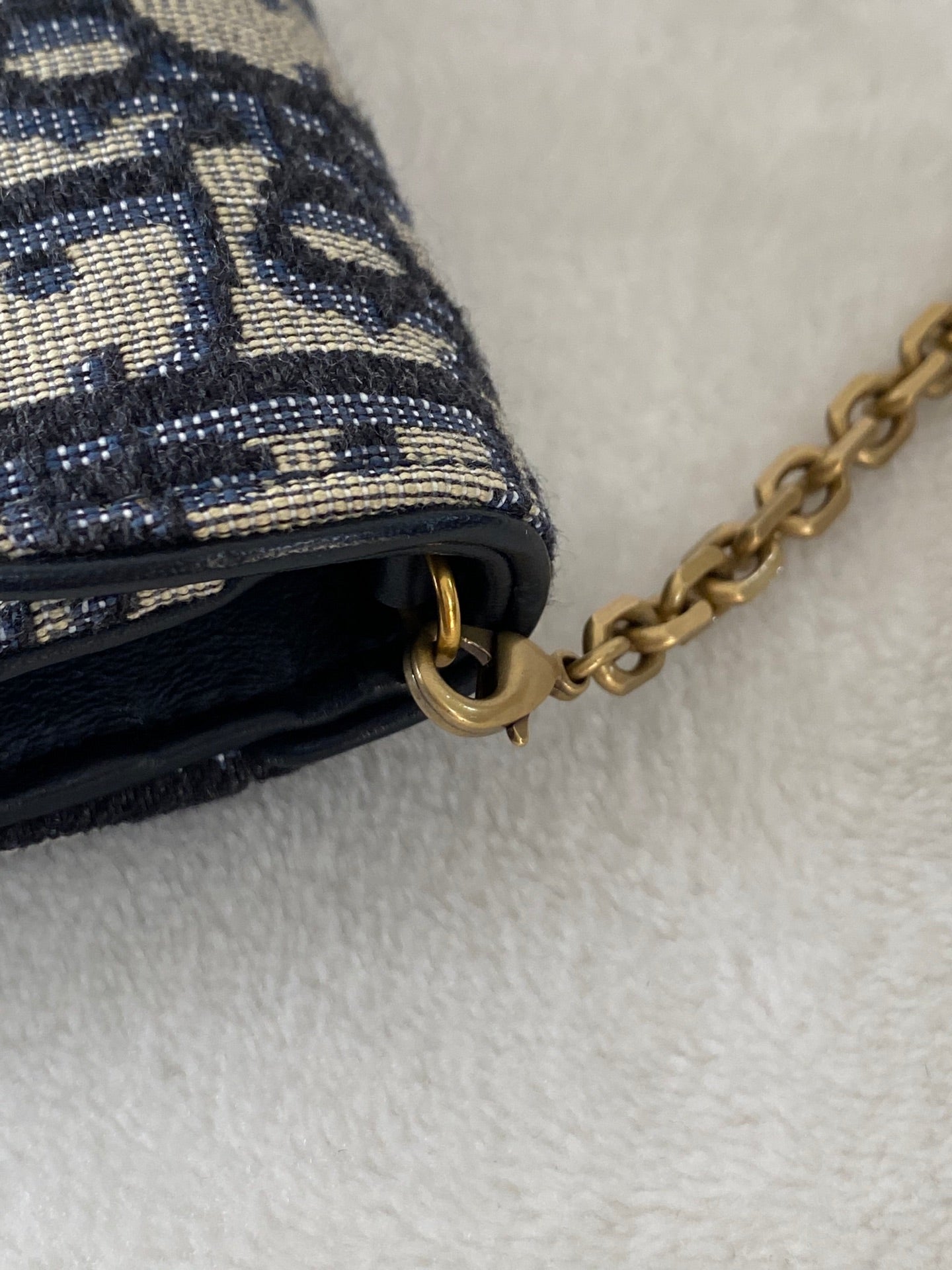 CHRISTIAN DIOR Saddle Oblique WOC Chainbag Set