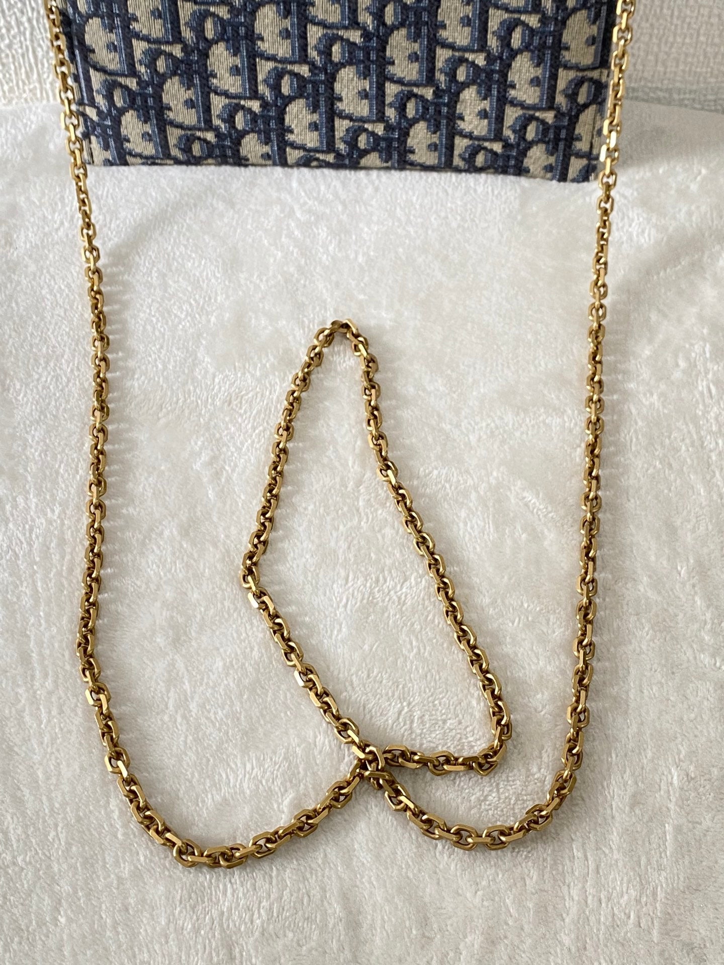 CHRISTIAN DIOR Saddle Oblique WOC Chainbag Set