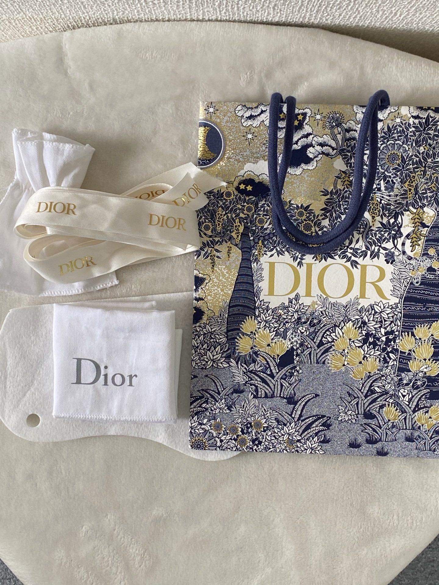 CHRISTIAN DIOR Saddle Oblique WOC Chainbag Set