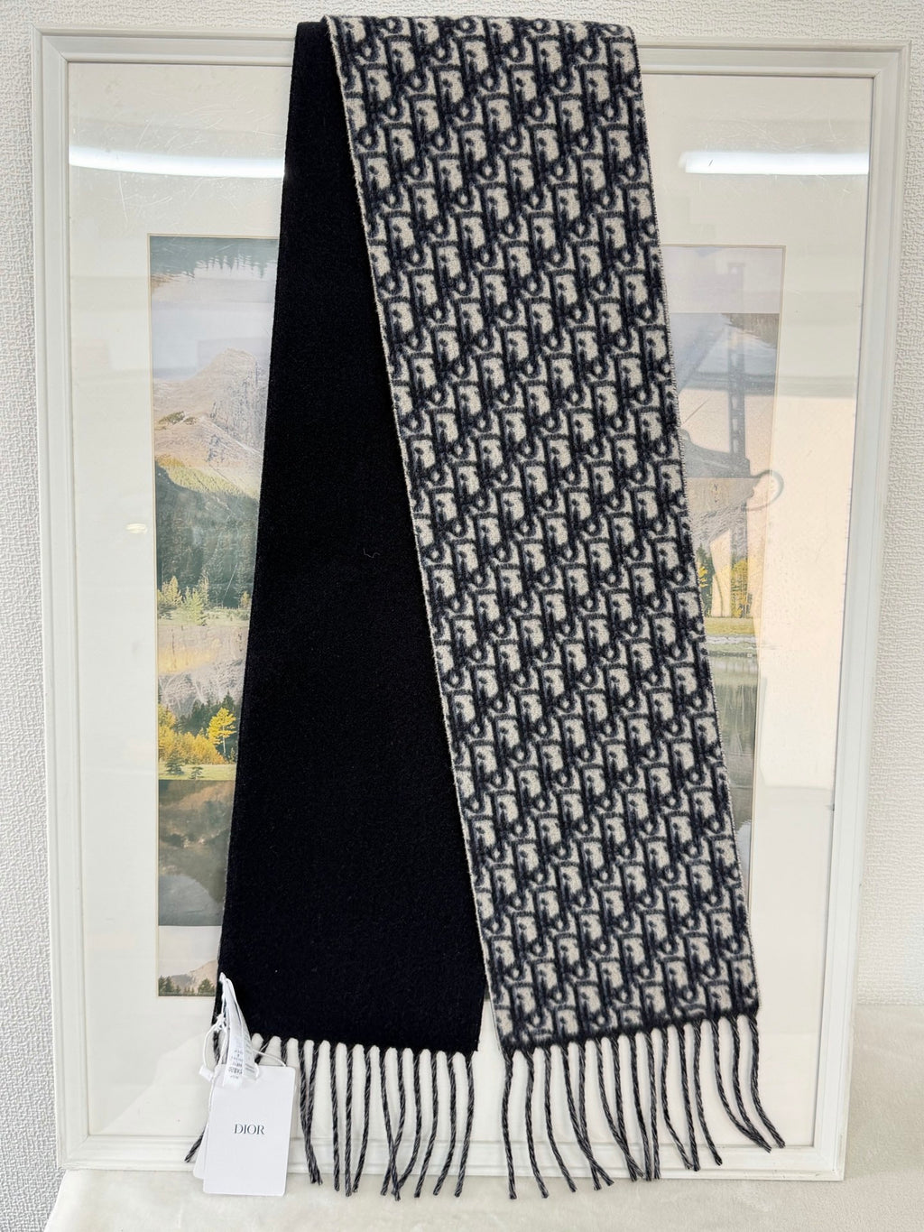 Dior Cashmere scarf