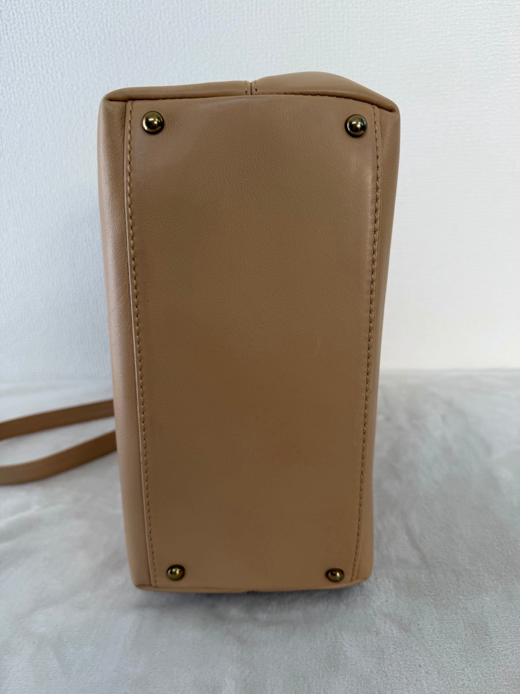 CHANEL Genuine 2way Shoulderbag