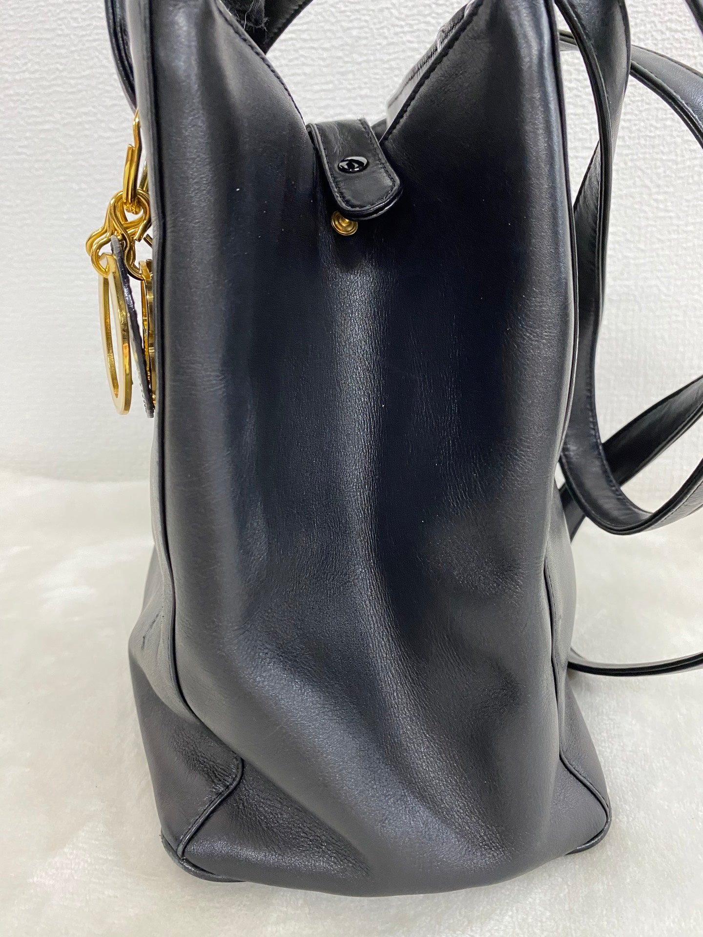 CHRISTIAN DIOR Genuine Logo Totebag
