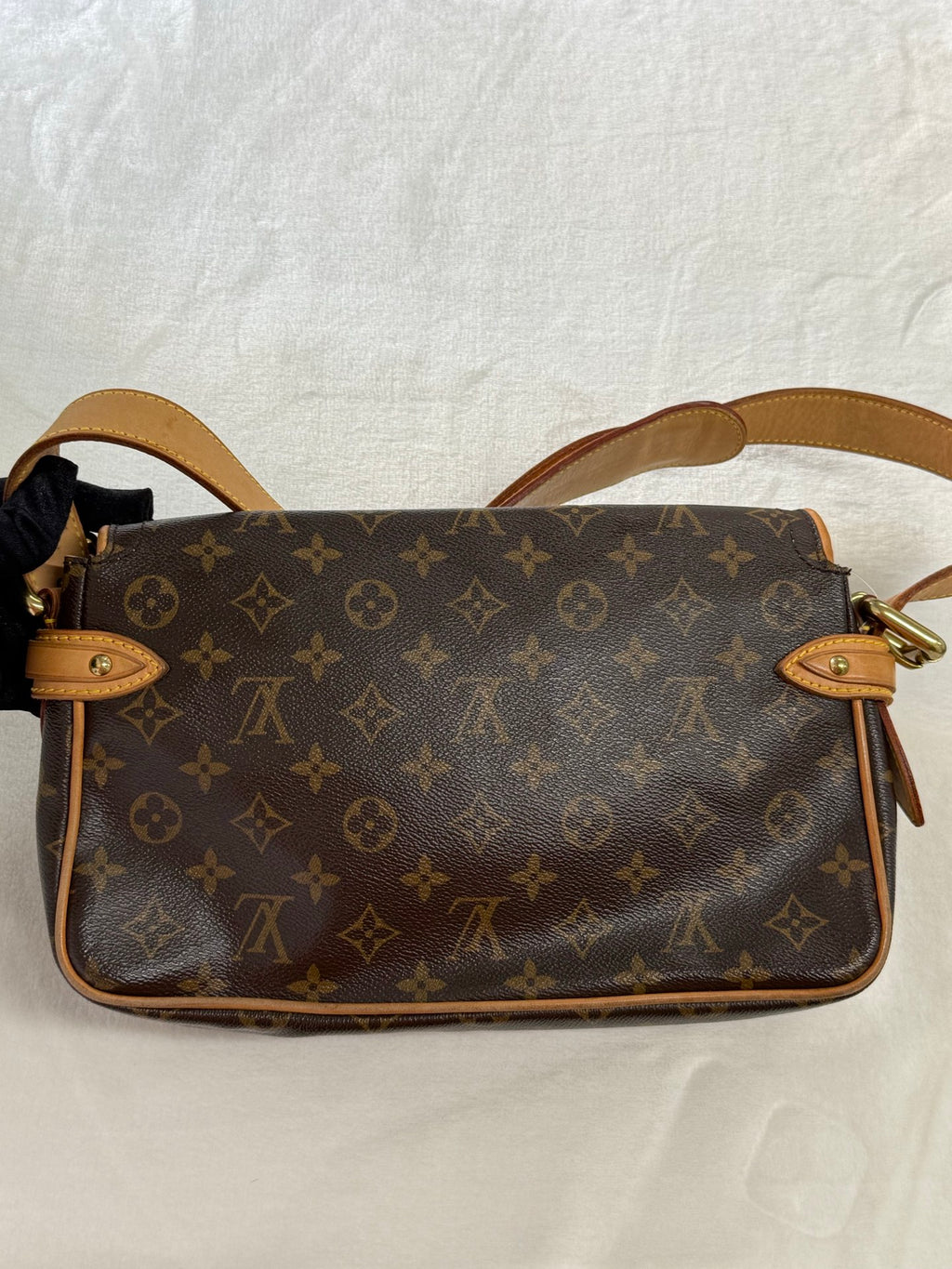 LOUIS VUITTON Monogram Hudson bag PM