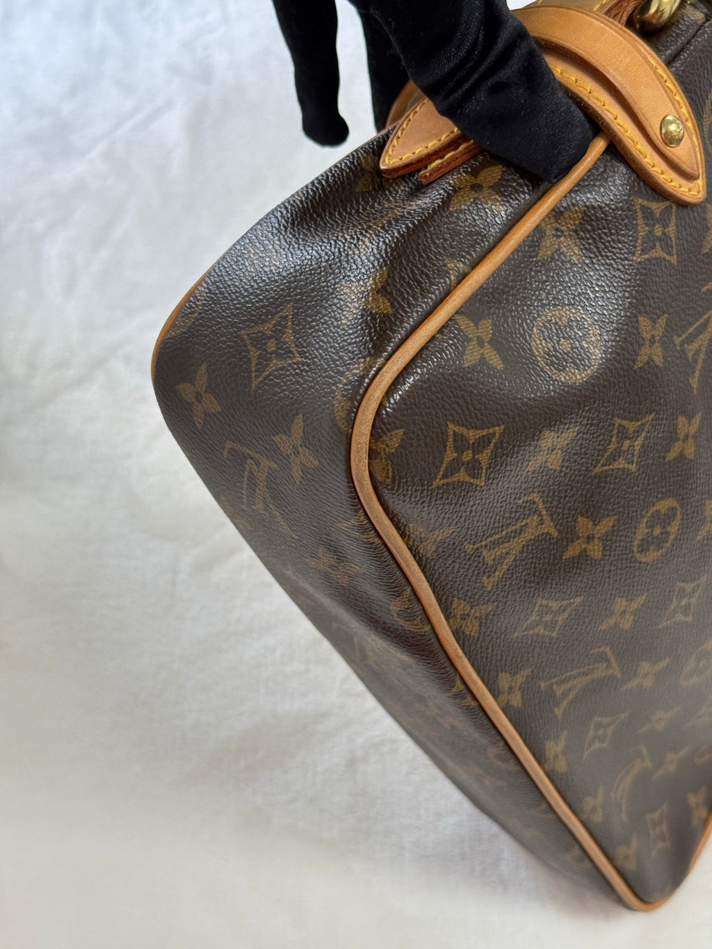 LOUIS VUITTON Monogram Hudson bag PM