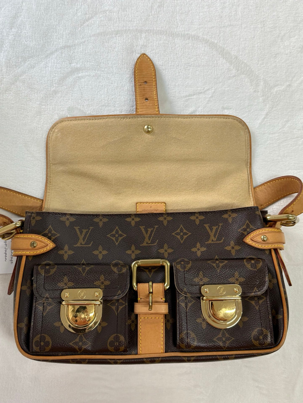LOUIS VUITTON Monogram Hudson bag PM