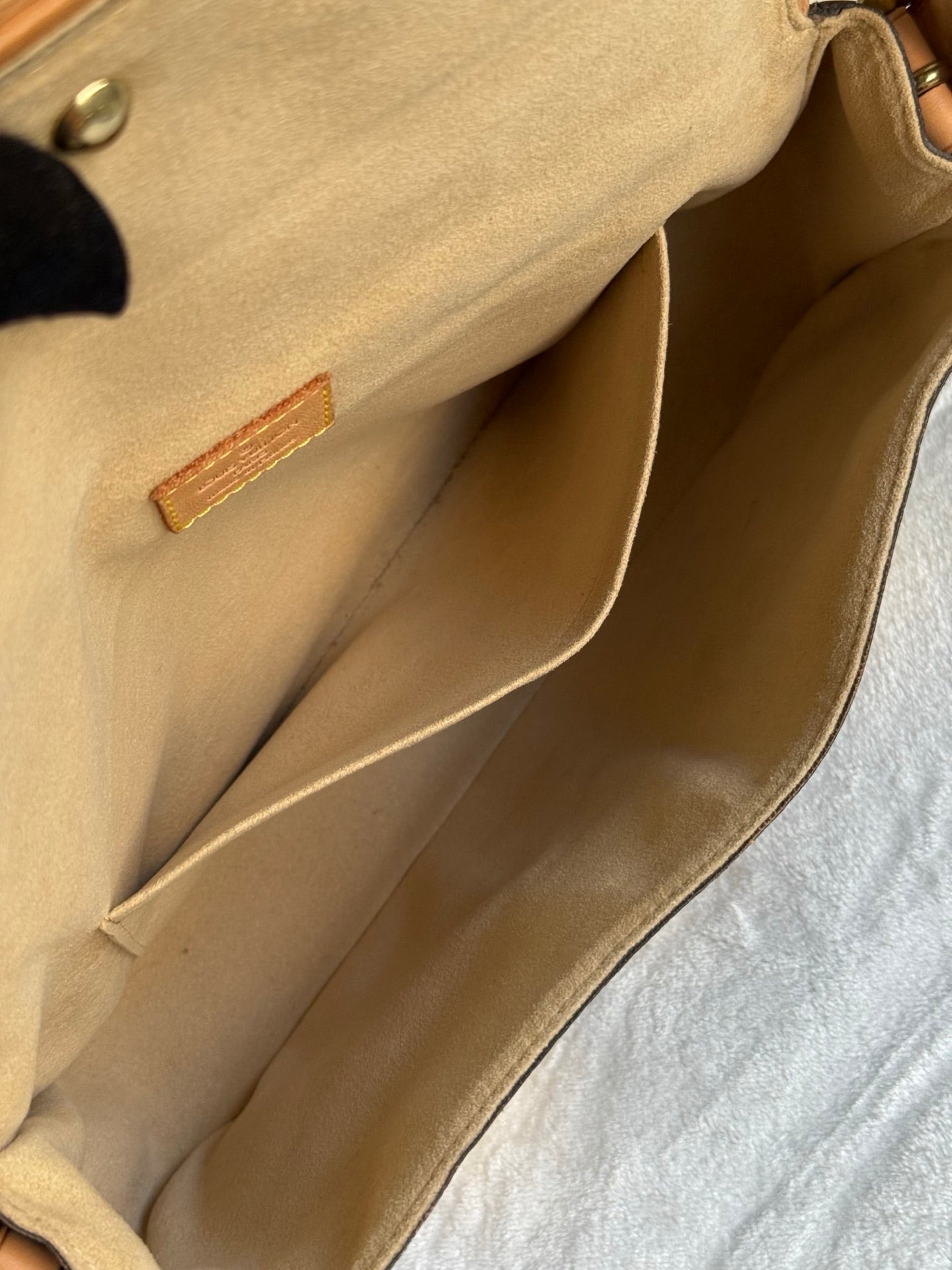 LOUIS VUITTON Monogram Hudson bag PM