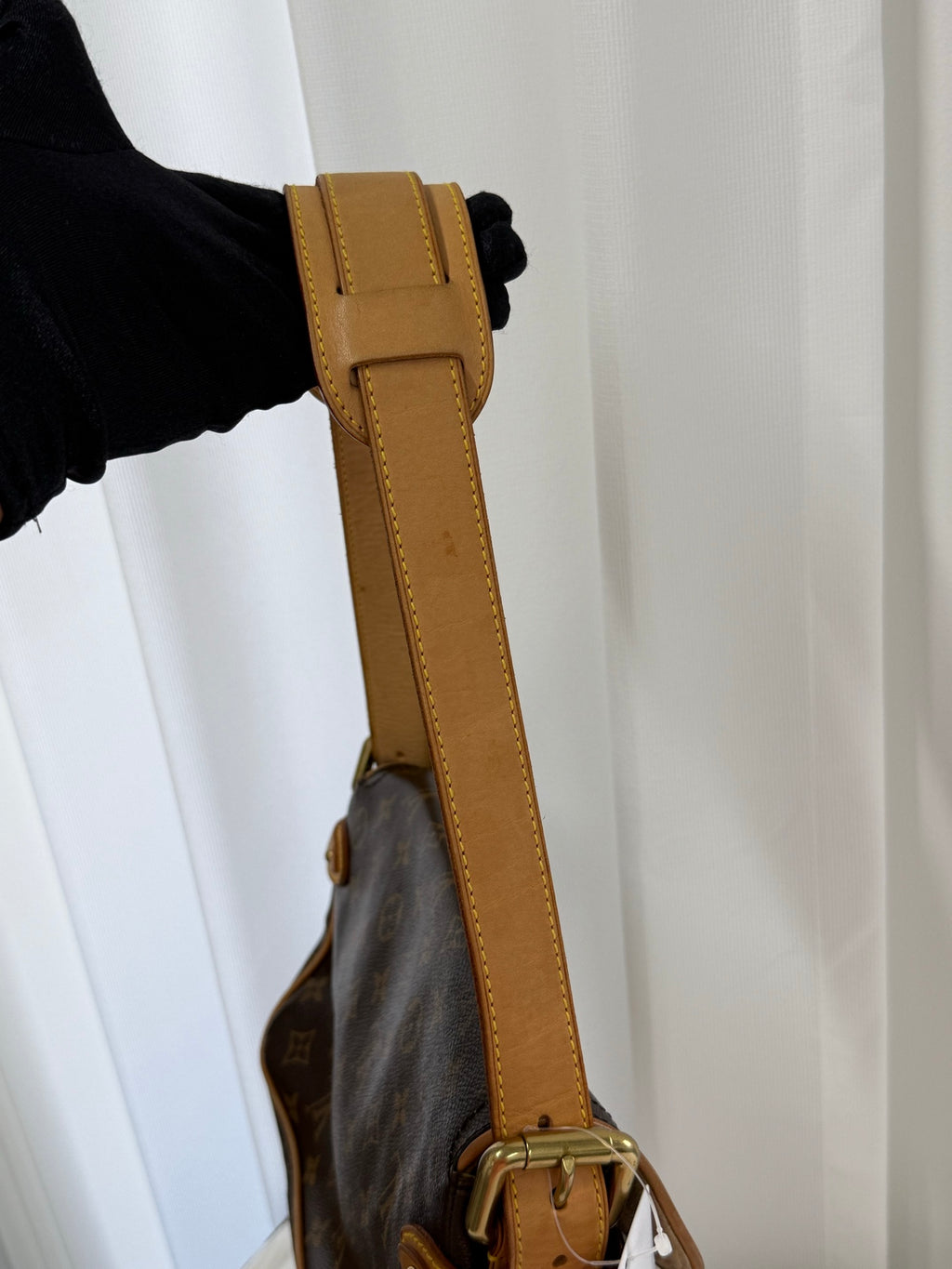 LOUIS VUITTON Monogram Hudson bag PM