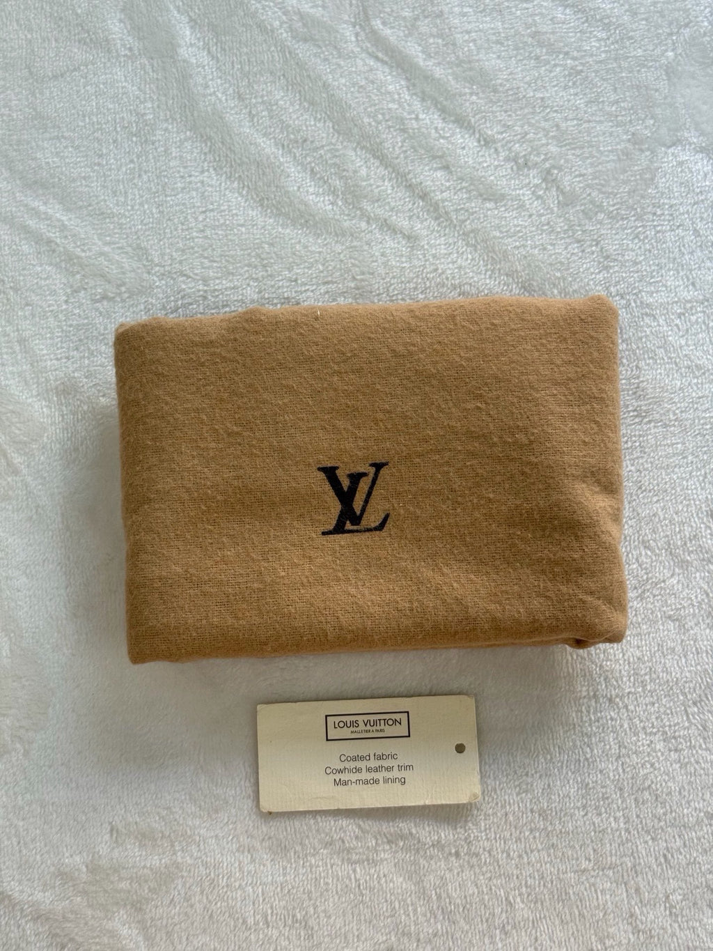 LOUIS VUITTON Monogram Hudson bag PM