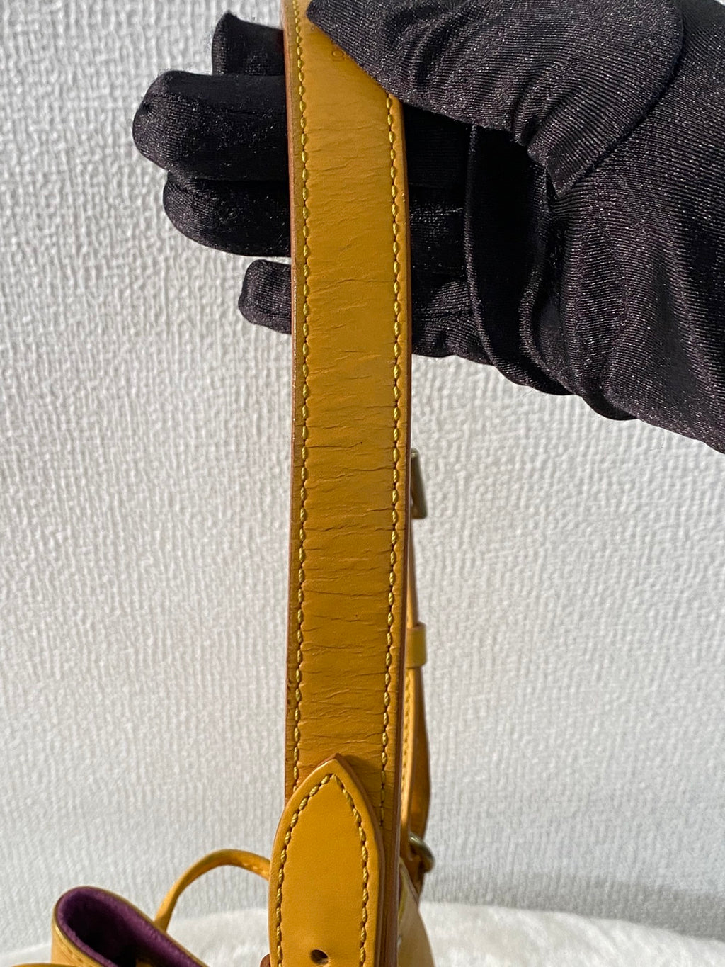 LOUIS VUITTON Epi Noe Bucket Shoulderbag