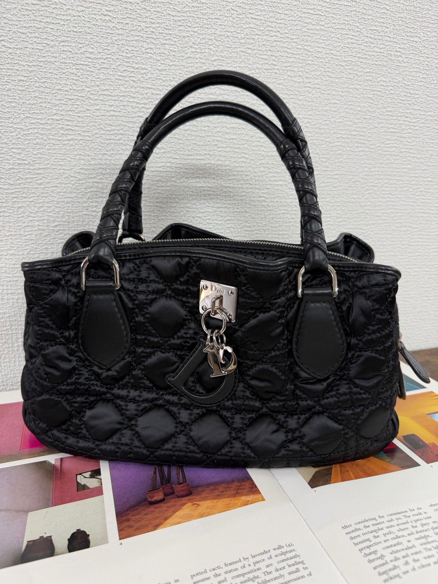 CHRISTIAN DIOR Oblique Handbag