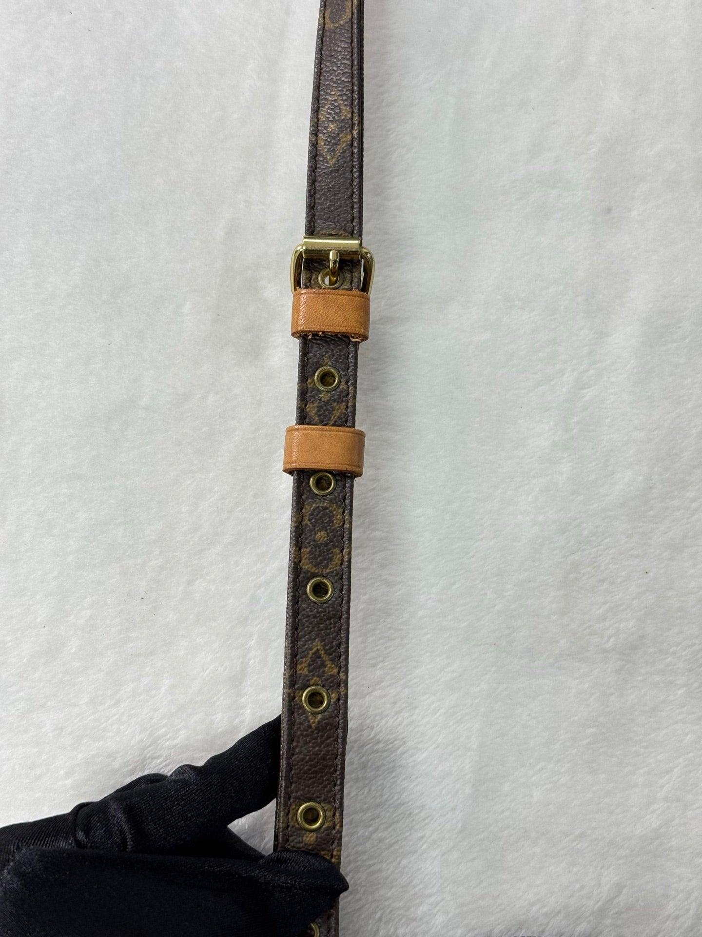 LOUIS VUITTON Monogram Camera Box Chainbag