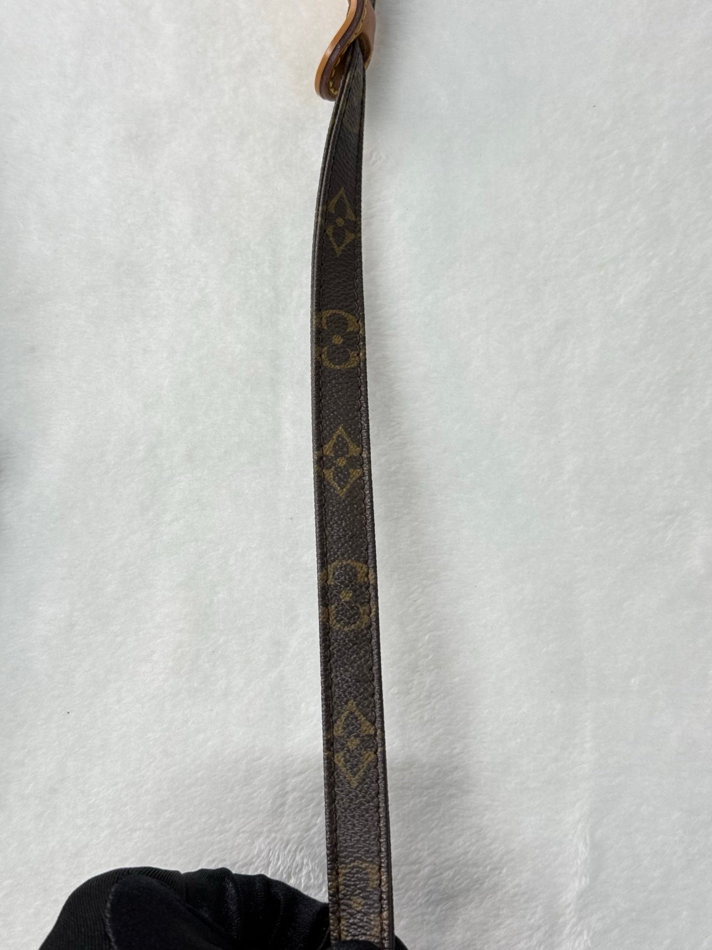 LOUIS VUITTON Monogram Camera Box Chainbag