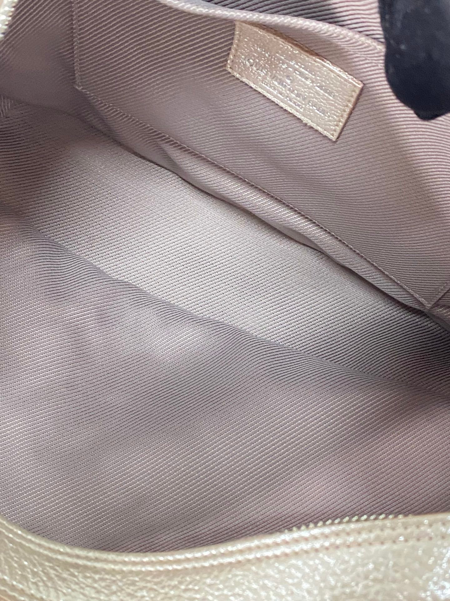 LOUIS VUITTON  Limited Edition Monogram Shimmer Halo Bag