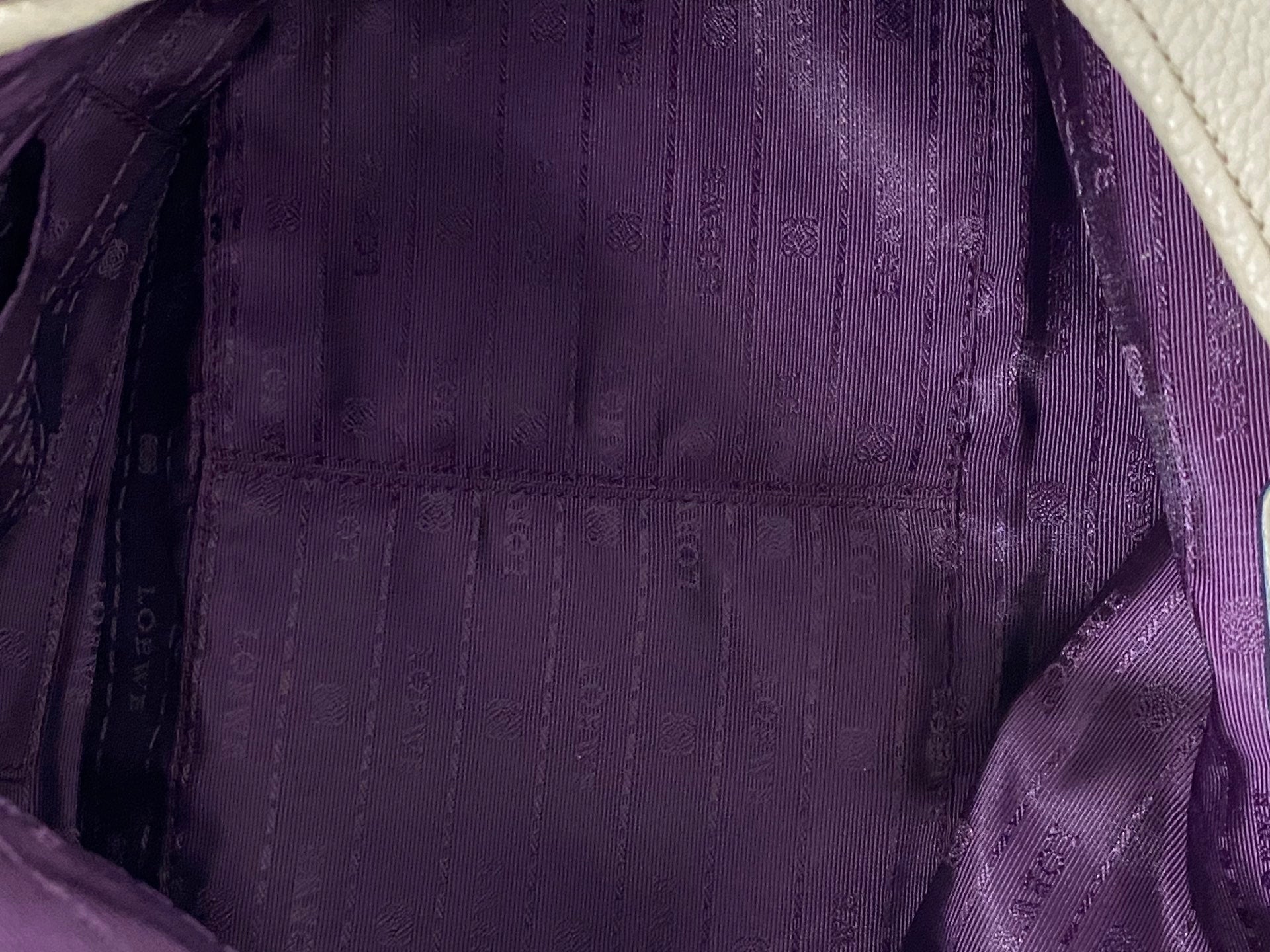 LOEWE Calle Hobobag