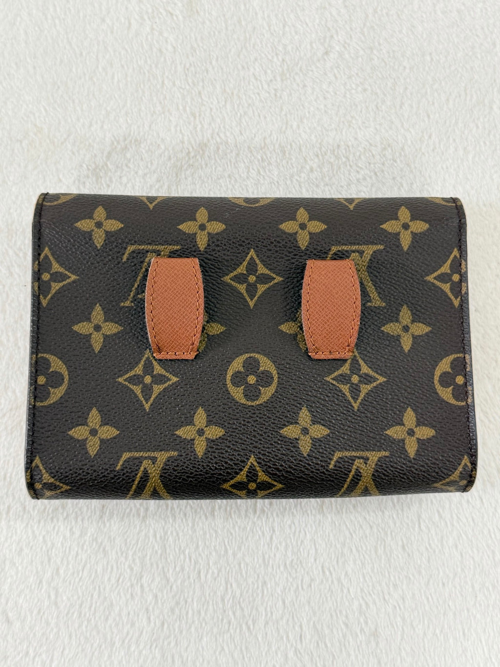 LOUIS VUITTON Monogram 2WAY Wallet