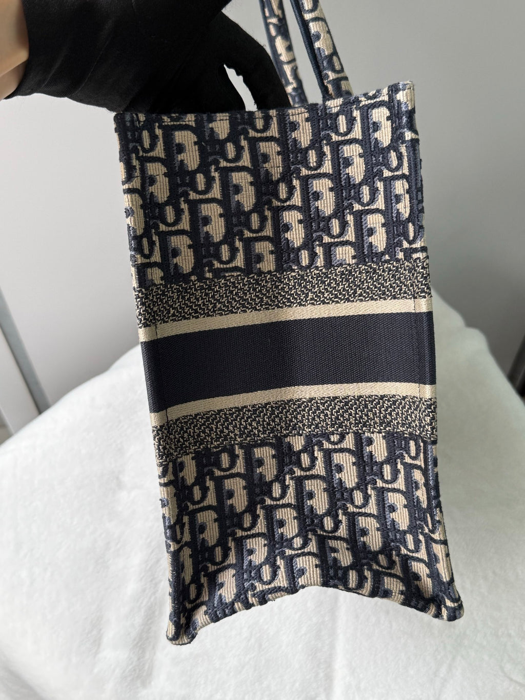 Dior Book Tote