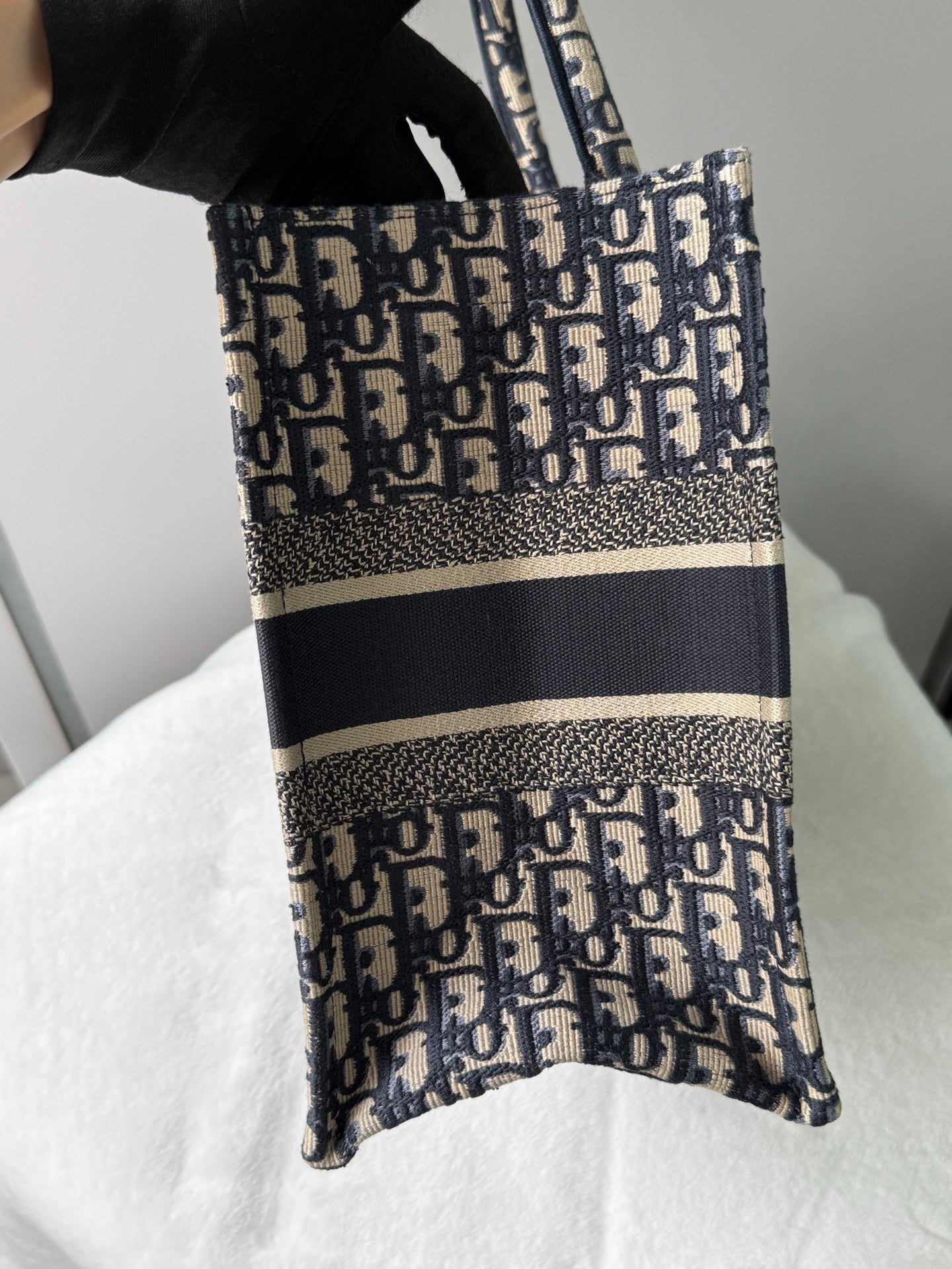 Dior Book Tote