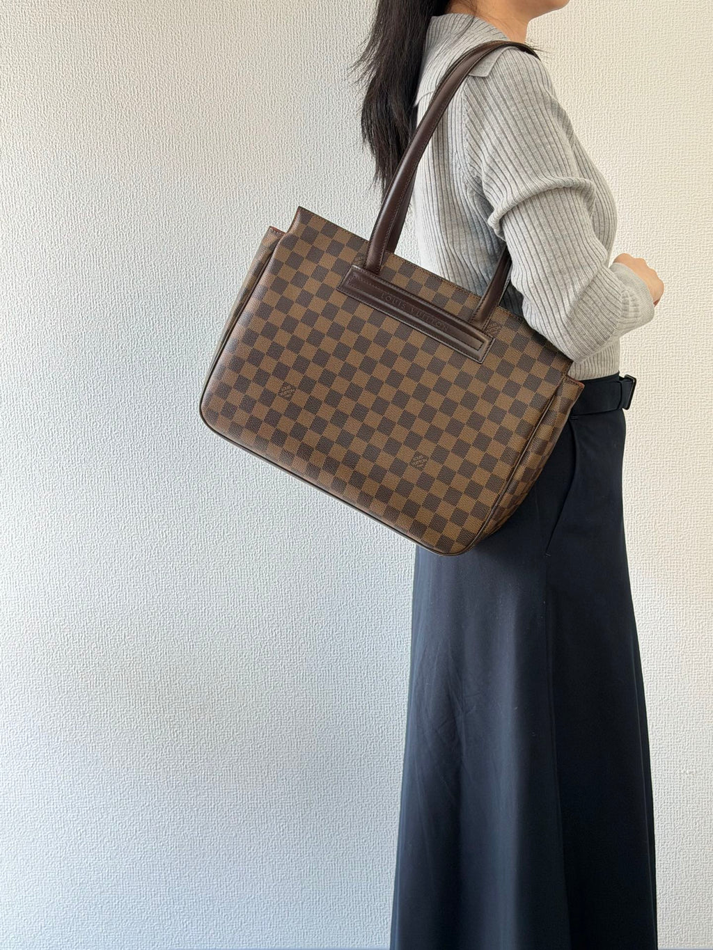 Louis Vuitton Damier Canvas Parioli PM Bag