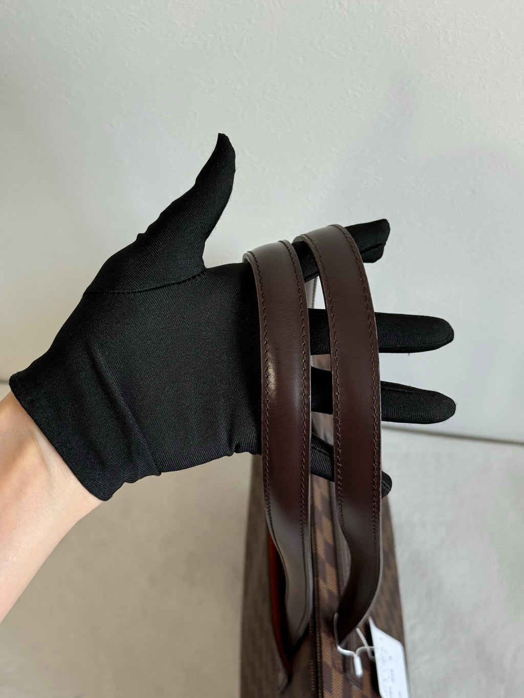 Louis Vuitton Damier Canvas Parioli PM Bag