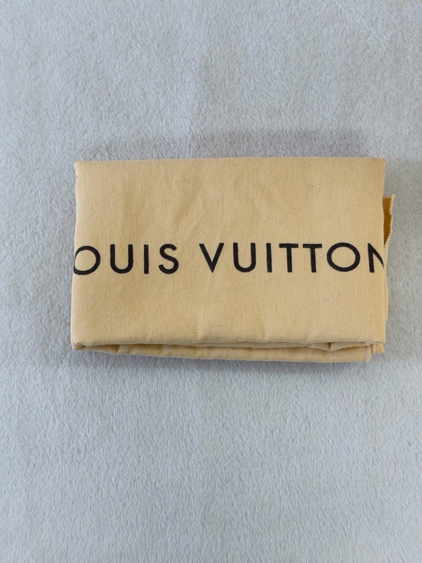 Louis Vuitton Métis Hobo