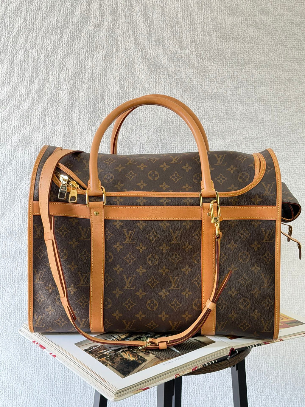 Louis Vuitton Monogram Sac Chien Pet Carrier