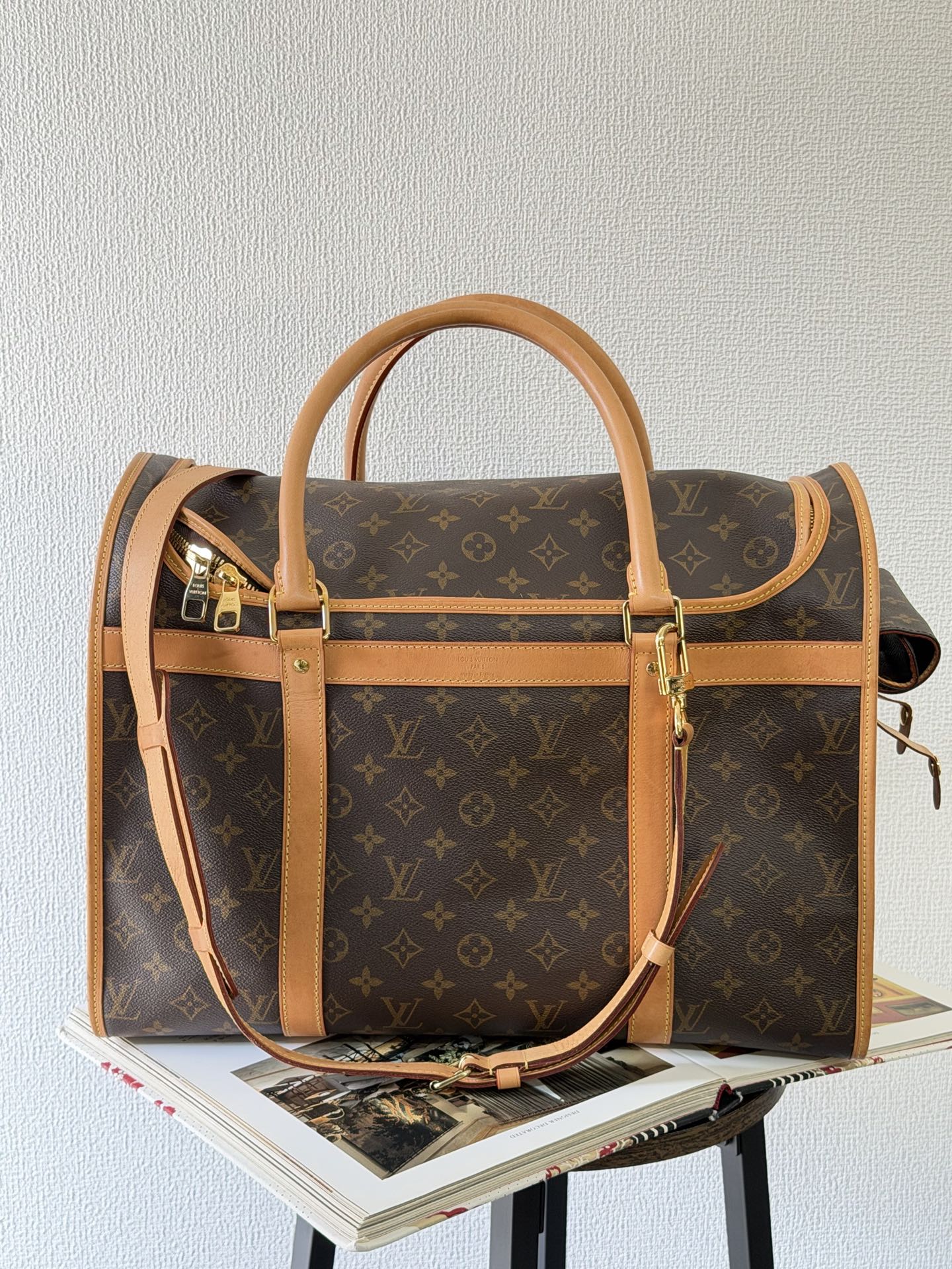 Louis Vuitton Monogram Sac Chien Pet Carrier