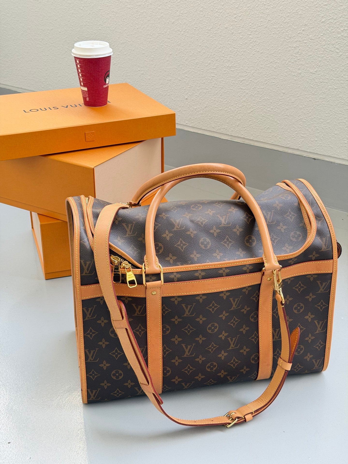 Louis Vuitton Monogram Sac Chien Pet Carrier