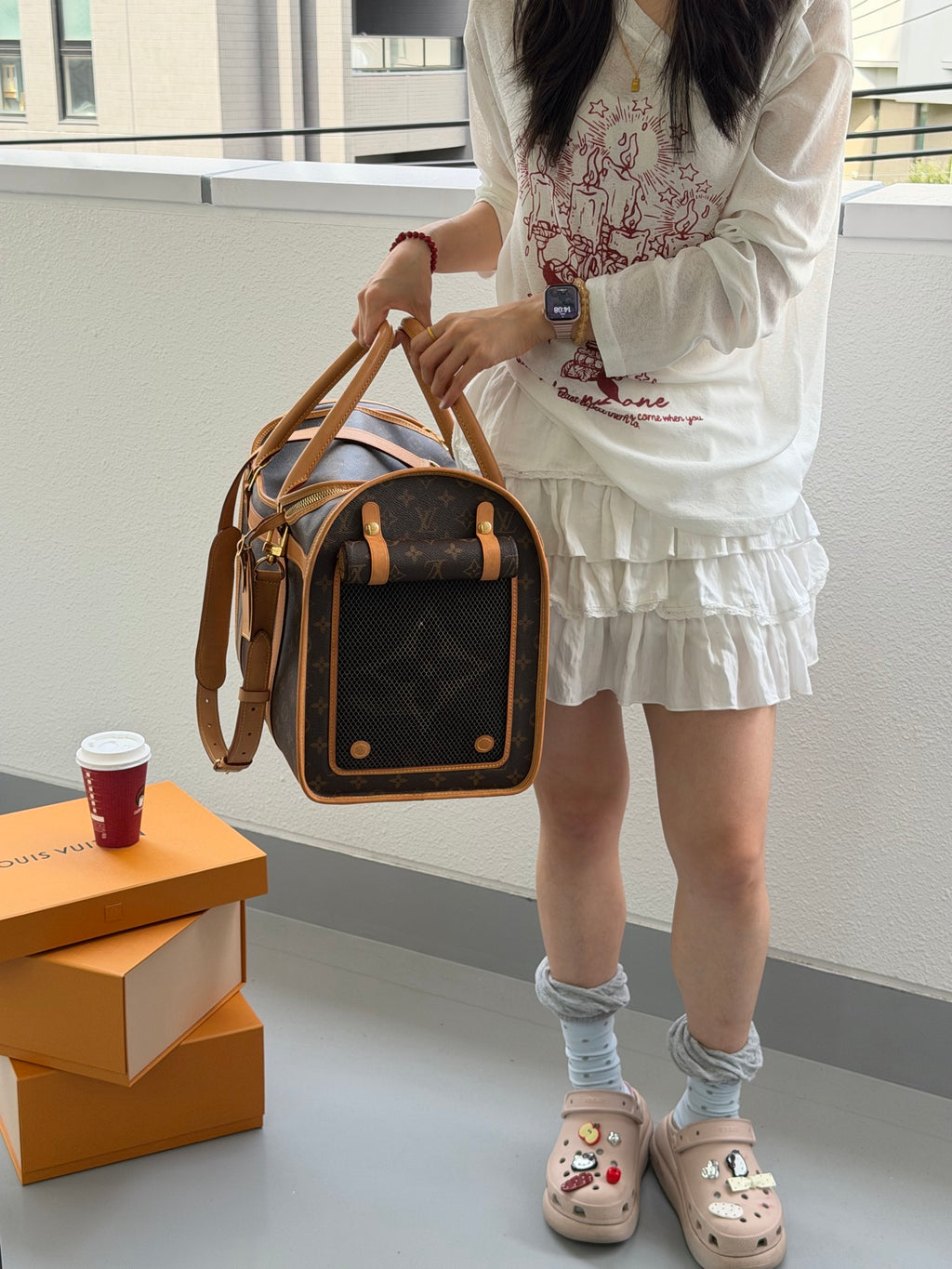 Louis Vuitton Monogram Sac Chien Pet Carrier