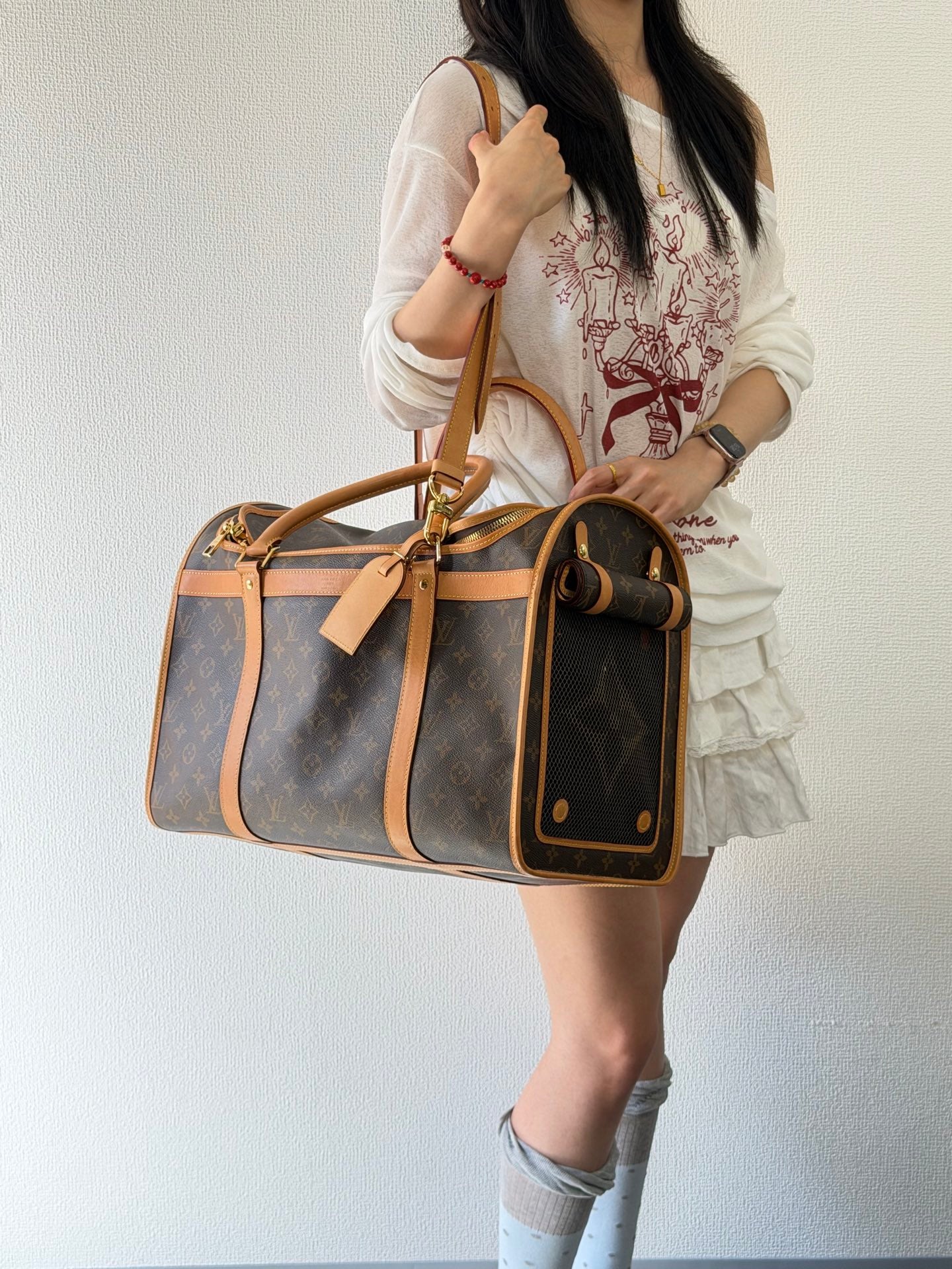 Louis Vuitton Monogram Sac Chien Pet Carrier
