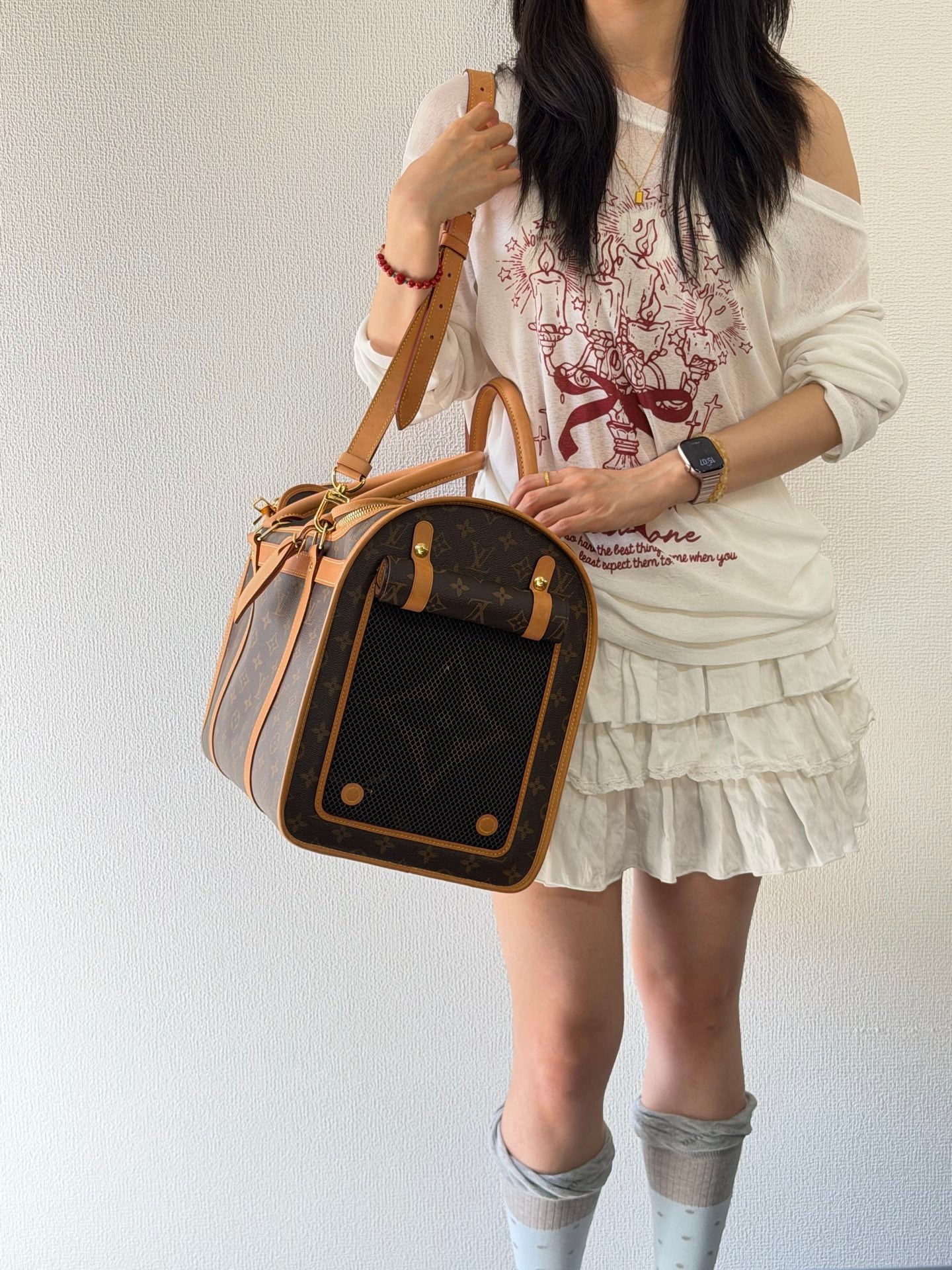 Louis Vuitton Monogram Sac Chien Pet Carrier